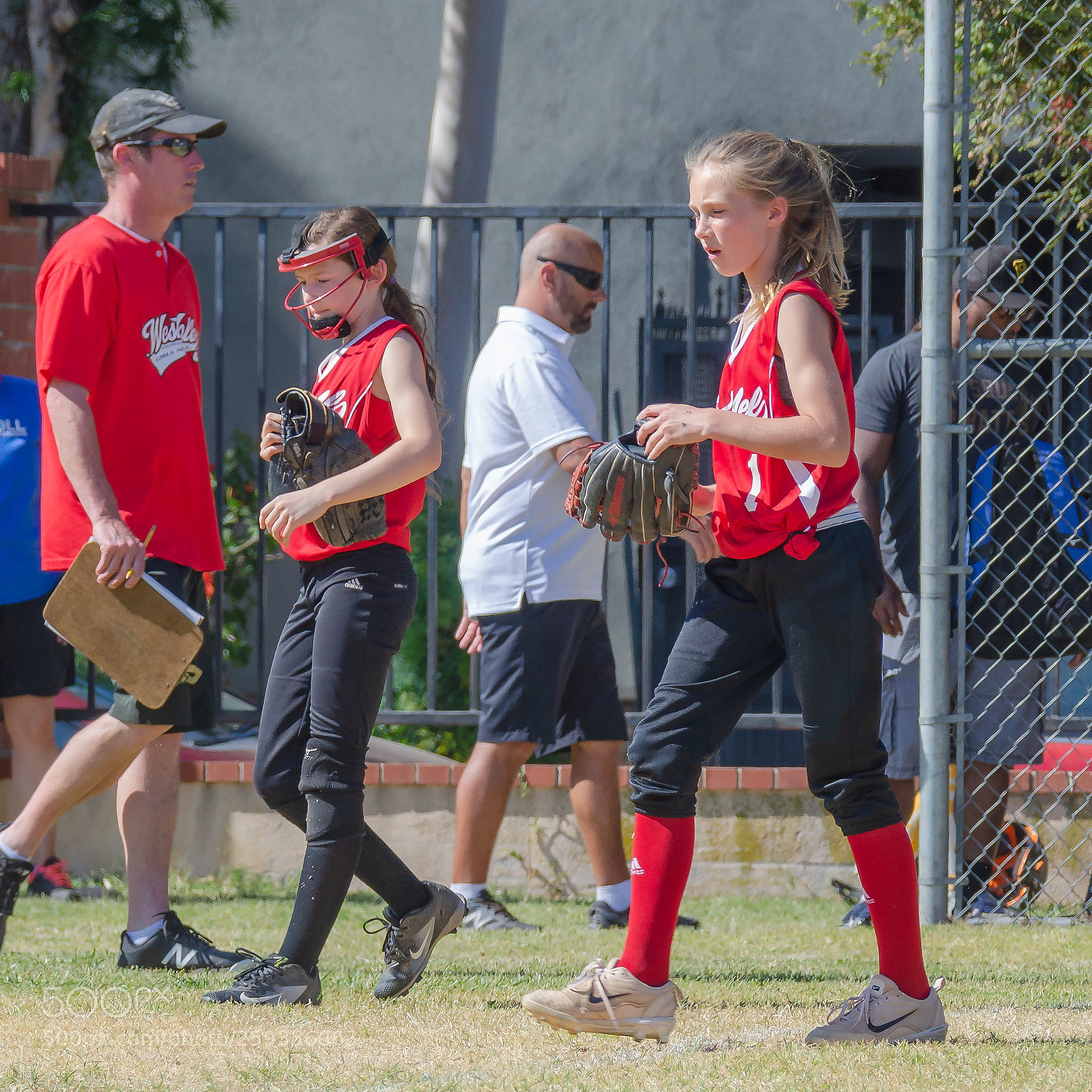 Nikon D7000 sample photo. Taking the field photography