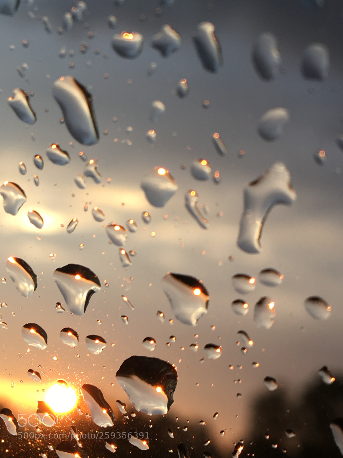 Apple iPhone 6s sample photo. Wet weather sunrise glass photography