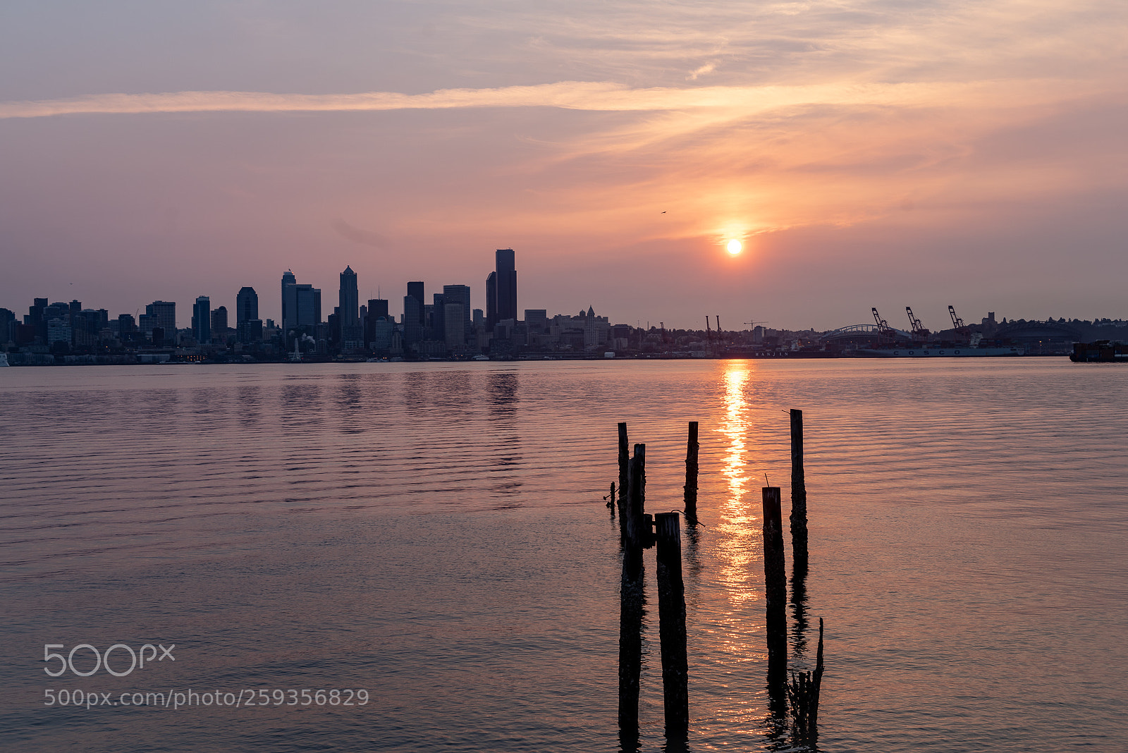 Sony a7R sample photo. Seattle slingshot photography