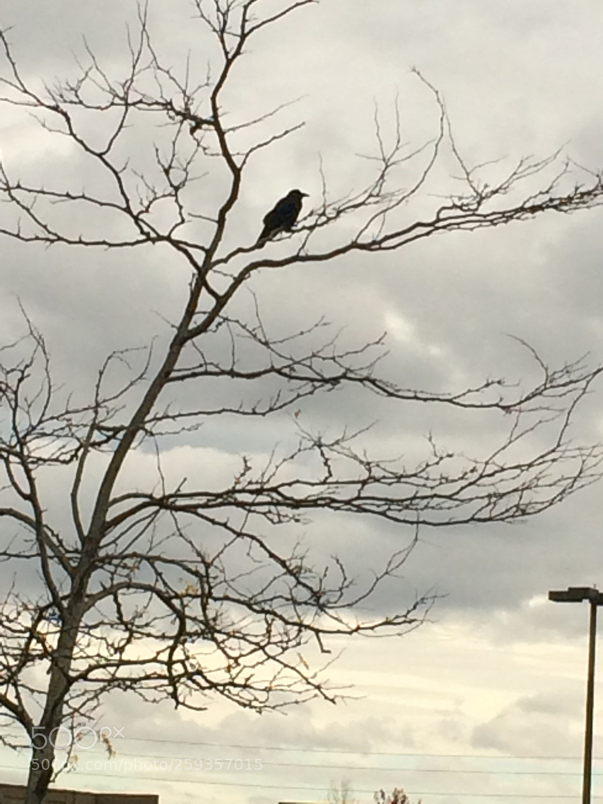 Apple iPhone 5s sample photo. Untitled photography