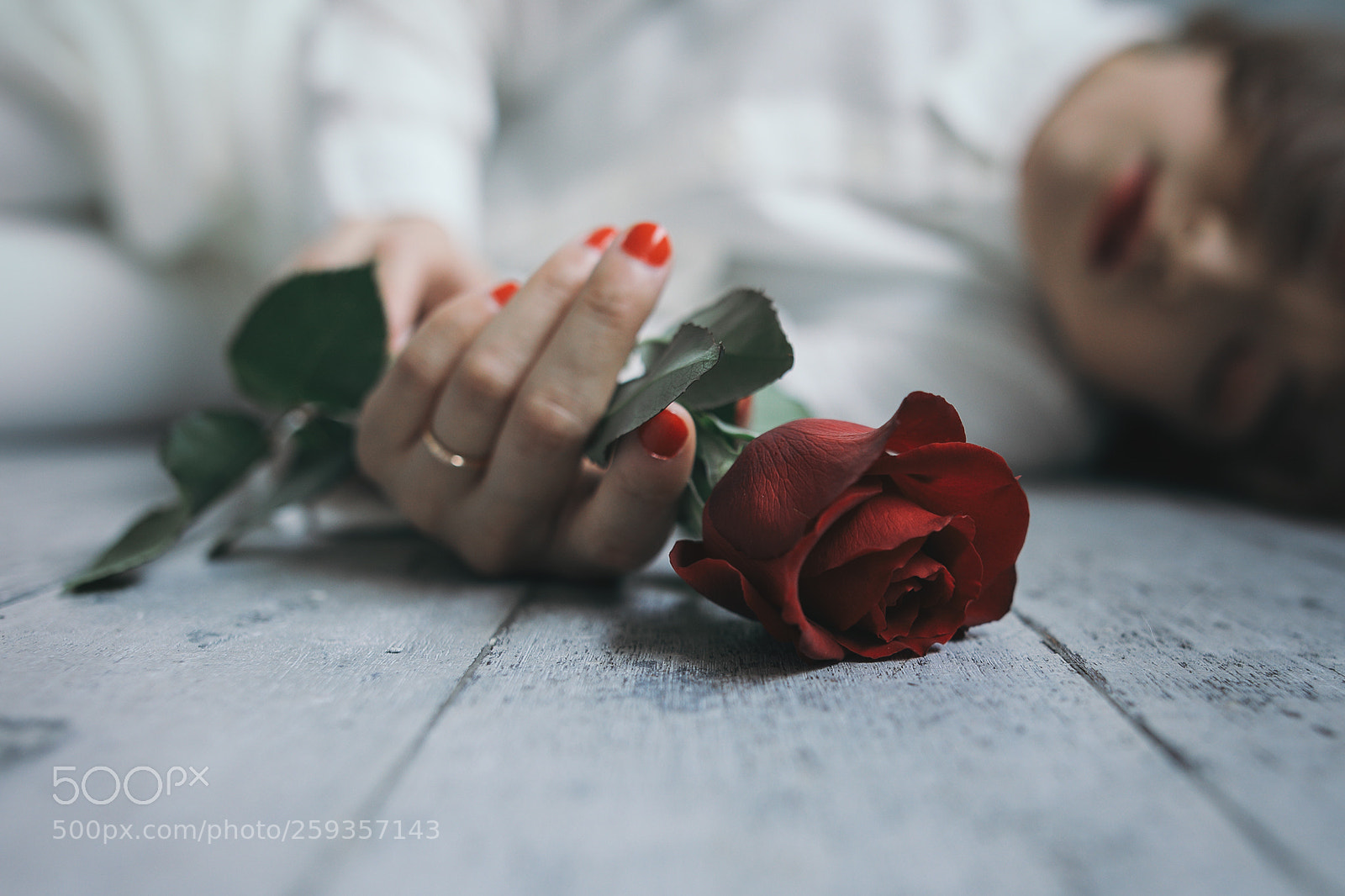 Canon EOS 5D Mark IV sample photo. Rose. photography