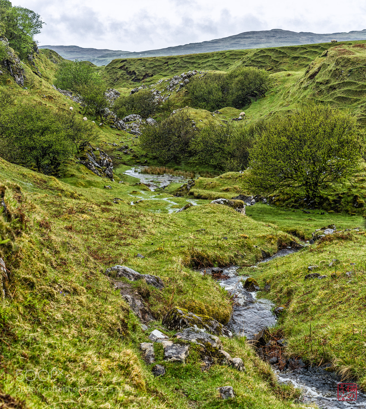 Sony a7 III sample photo. 21-fairy glen photography