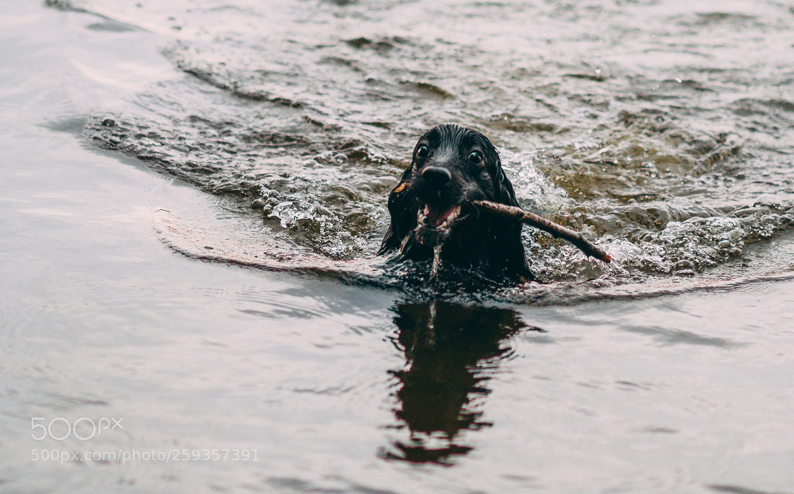 Canon EOS 7D sample photo. Jack&water photography