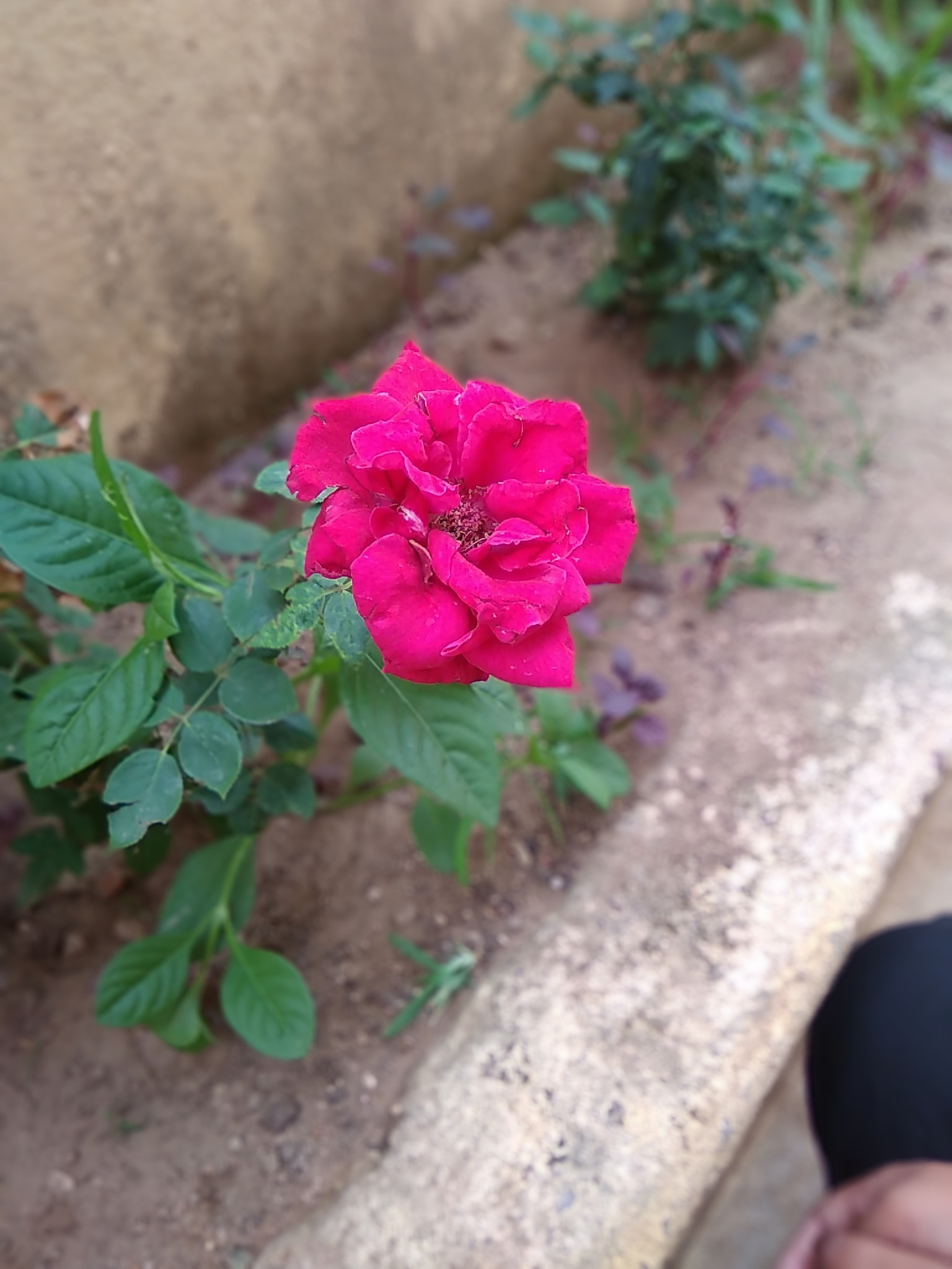 Xiaomi Redmi 5A sample photo