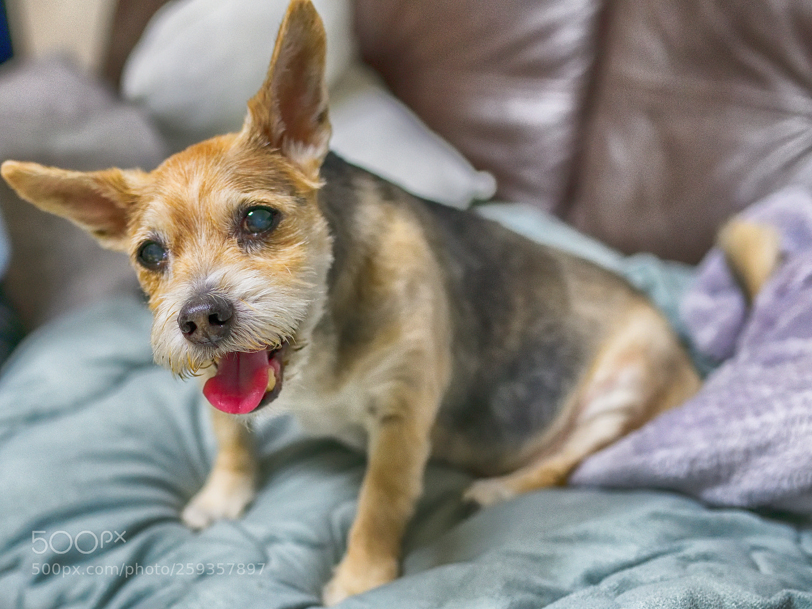 Nikon D850 sample photo. 850_2138_00001.jpg photography