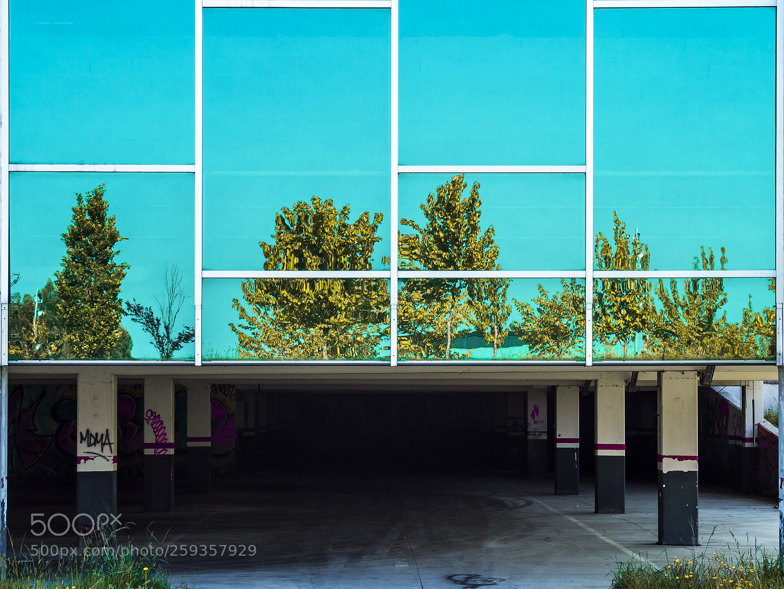 Pentax K-50 sample photo. _ photography