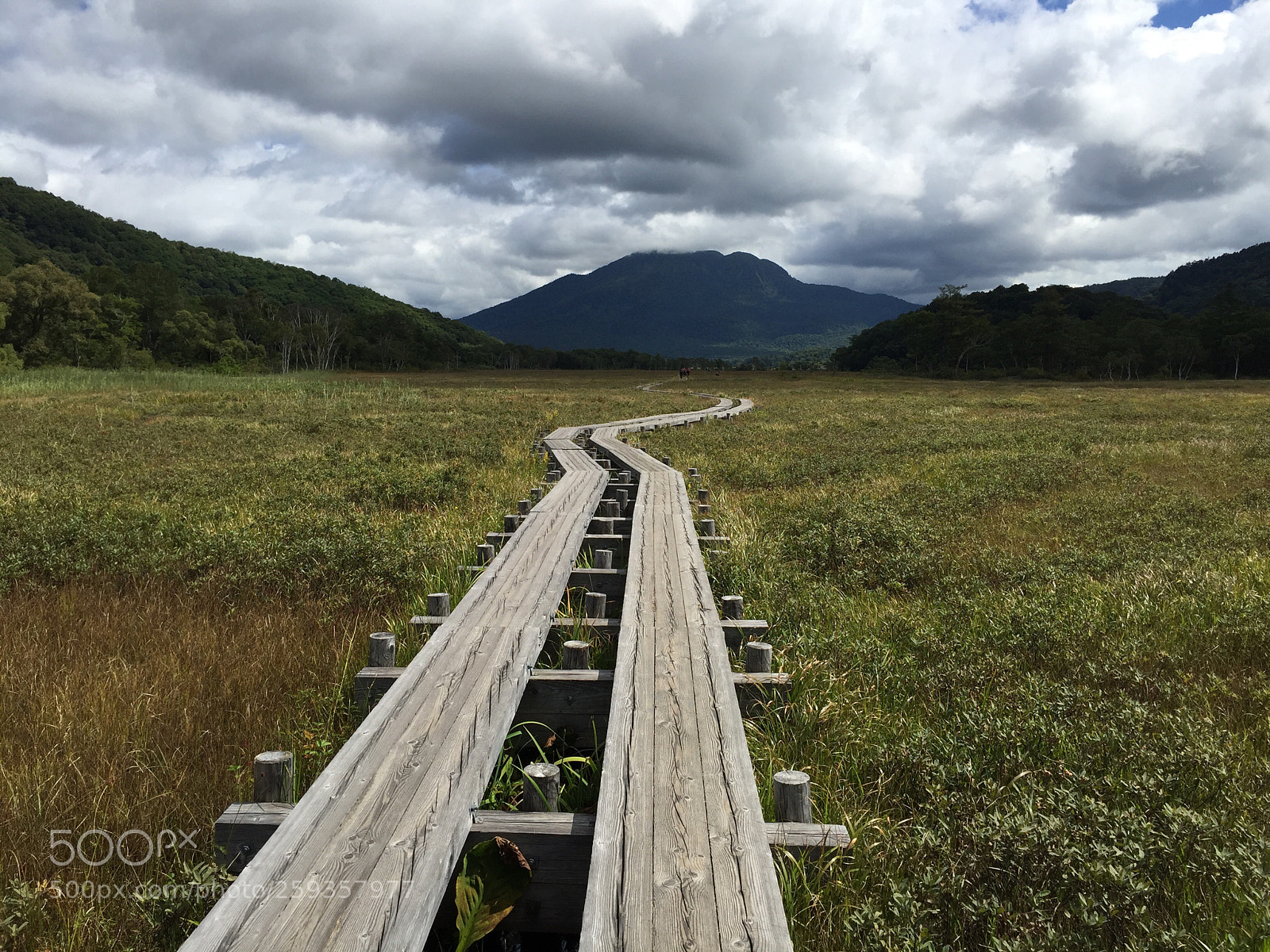 Apple iPhone 6 sample photo. Oze japan photography