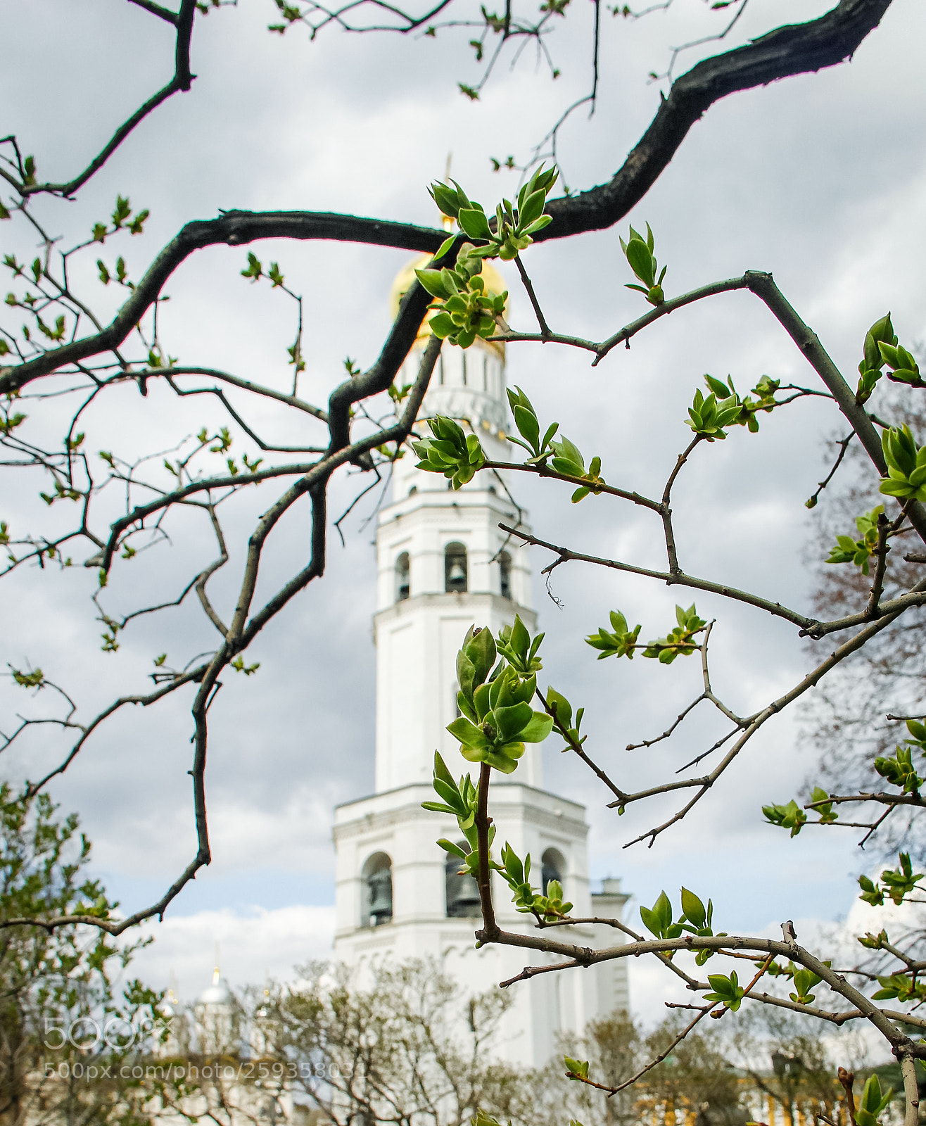 Canon EOS 60D sample photo. Spring in moscow photography