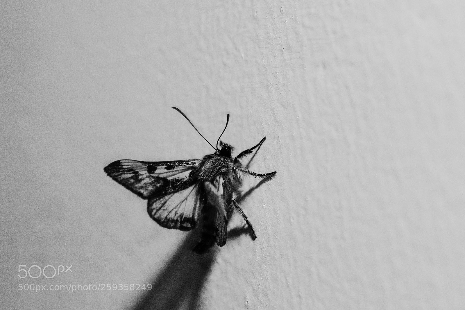 Nikon D7100 sample photo. Noturna photography