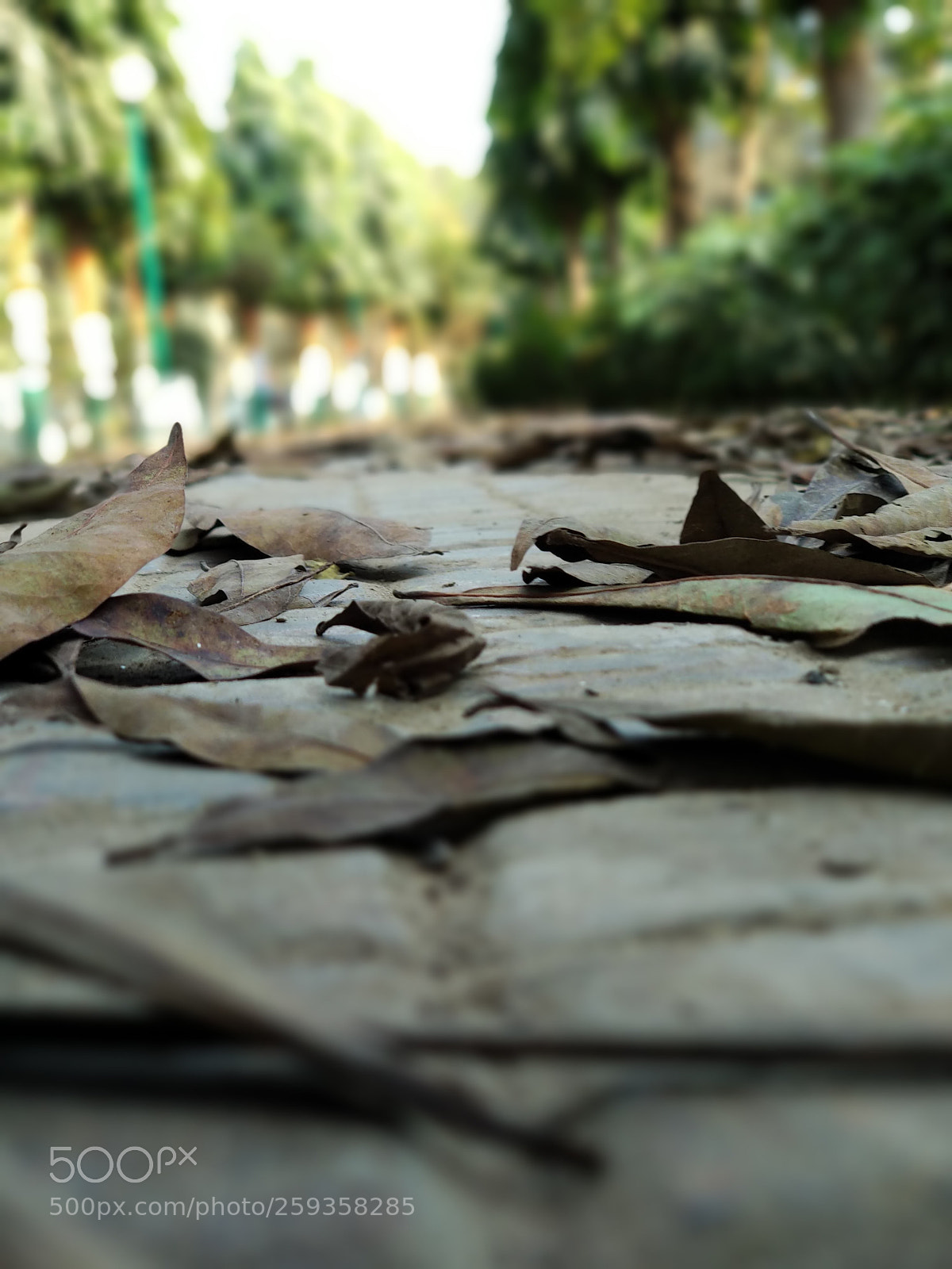 Xiaomi Mi A1 sample photo. Untitled photography