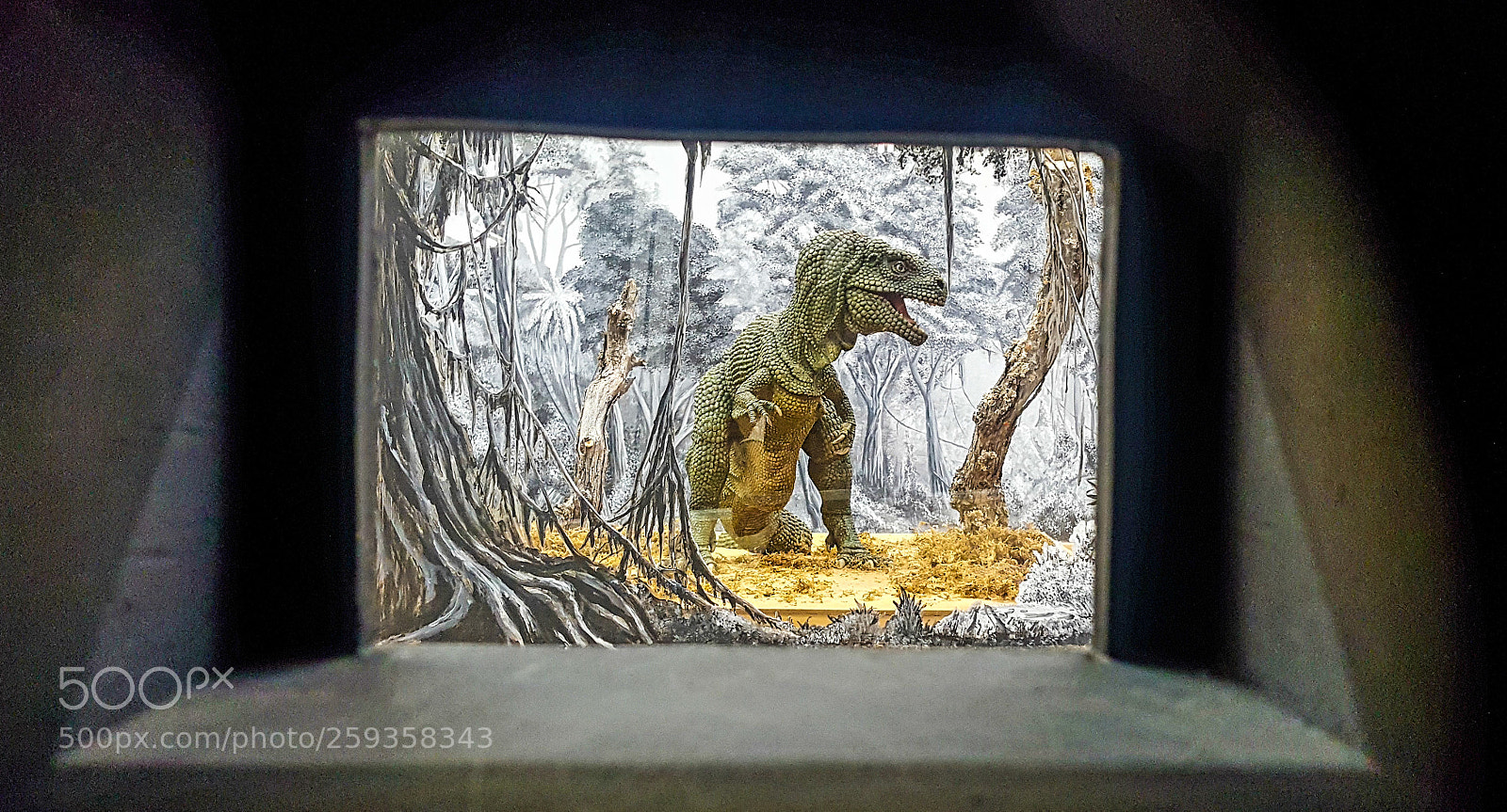 Samsung Galaxy Note5 sample photo. The lost world photography