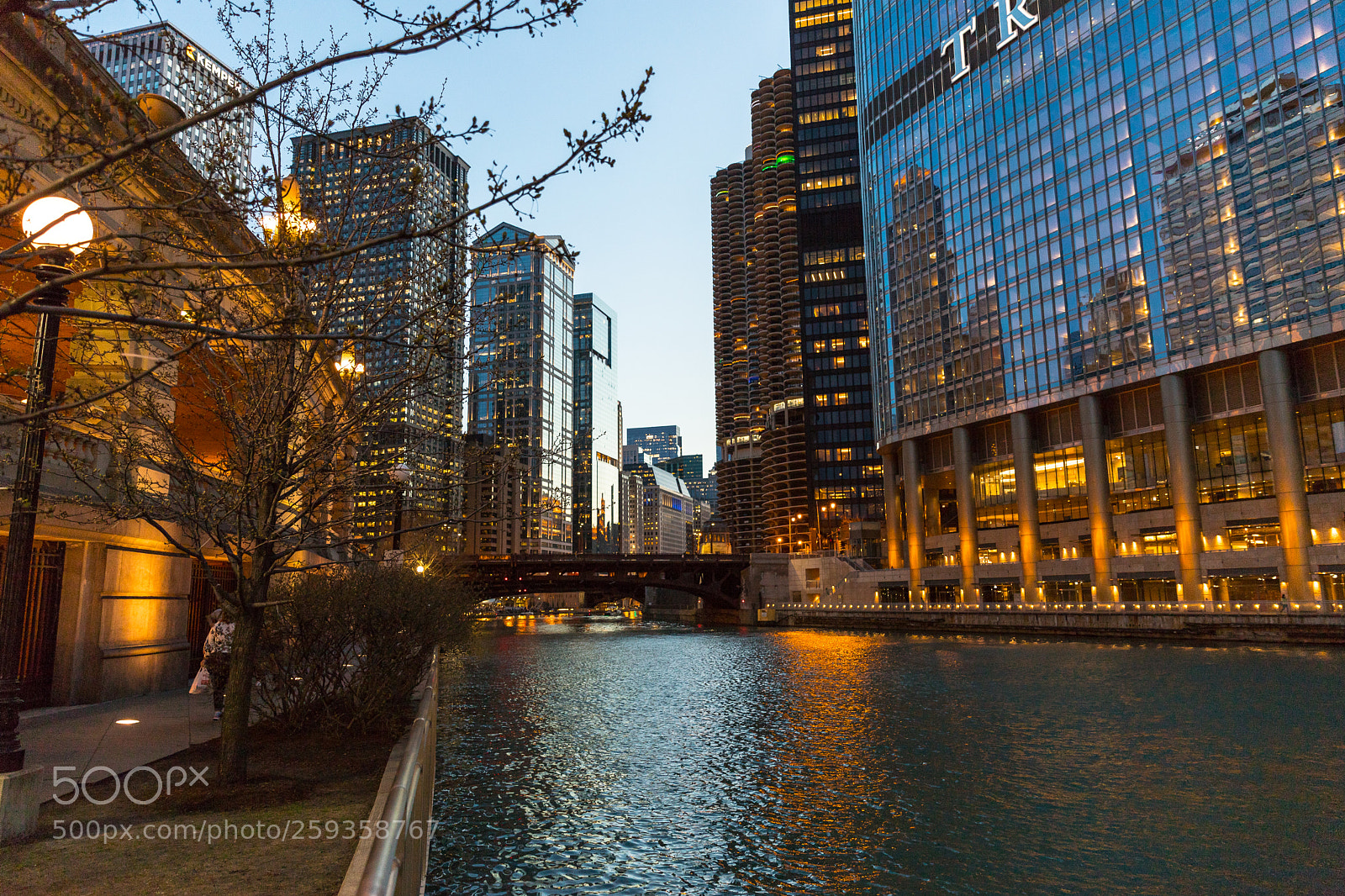 Canon EOS 6D Mark II sample photo. Img photography