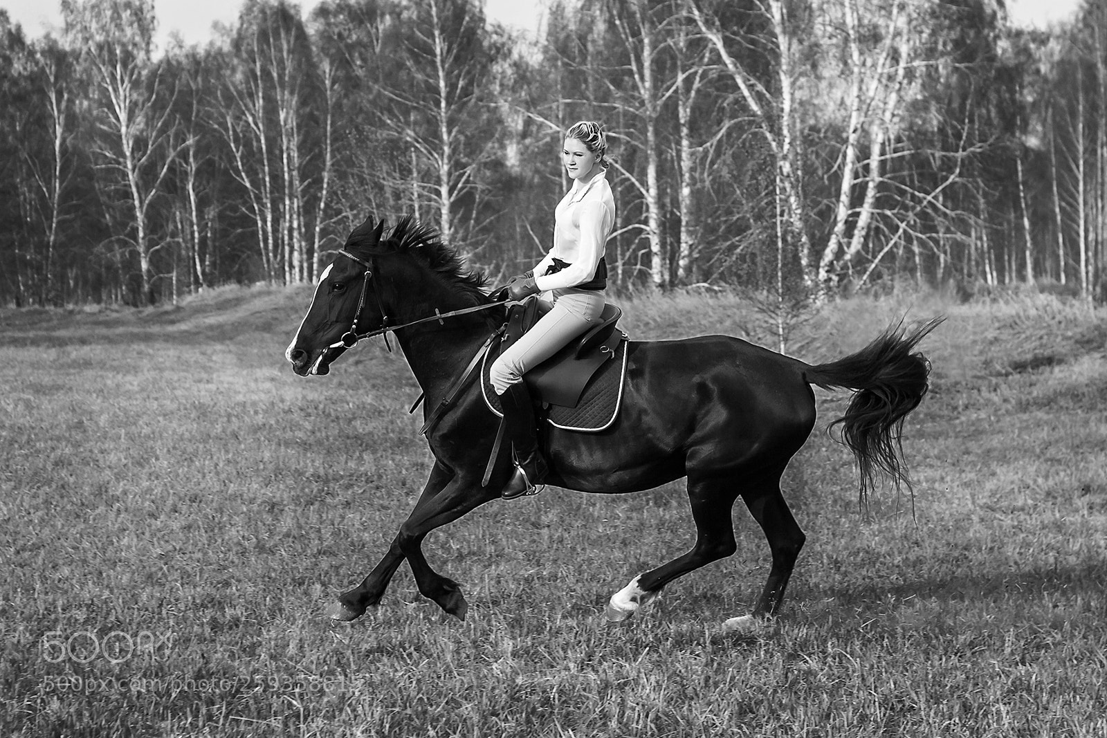 Canon EOS 50D sample photo. Img photography