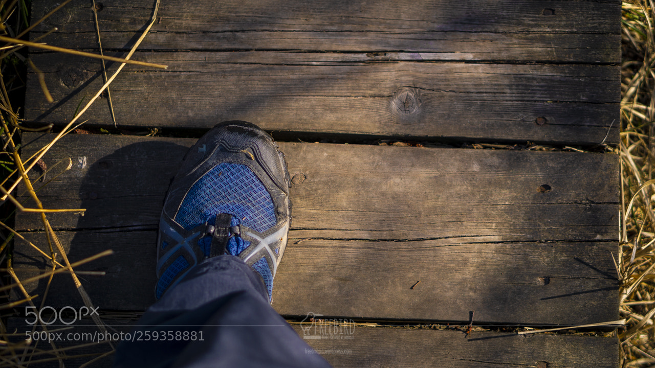 Sony a6000 sample photo. Step by step photography
