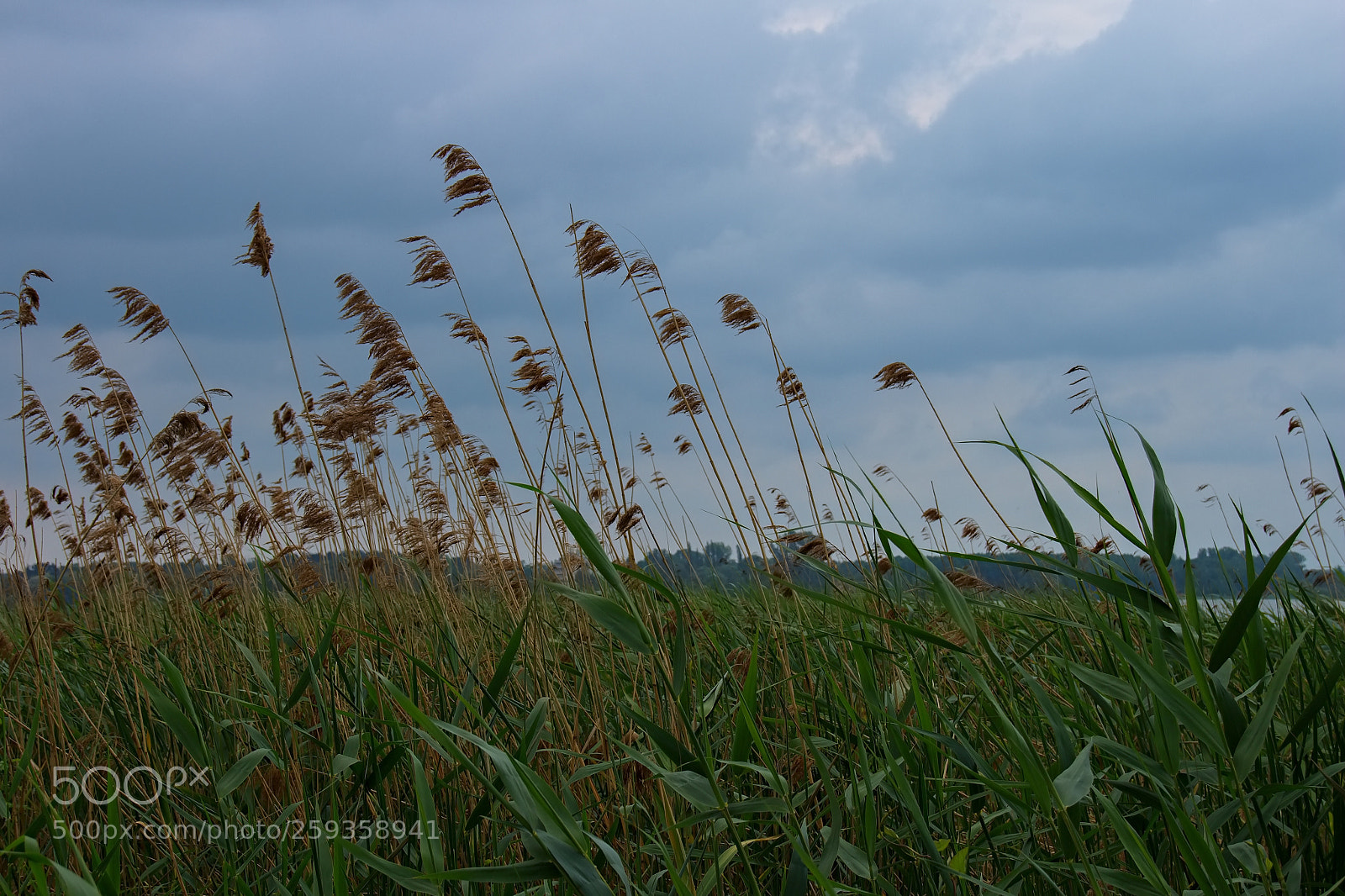 Canon EOS 700D (EOS Rebel T5i / EOS Kiss X7i) sample photo. On the zegrze reservoir 2 photography