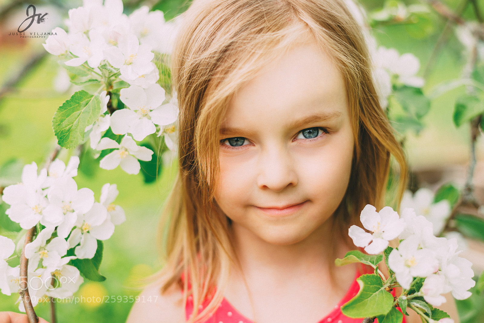 Nikon D600 sample photo. Flowergirl photography