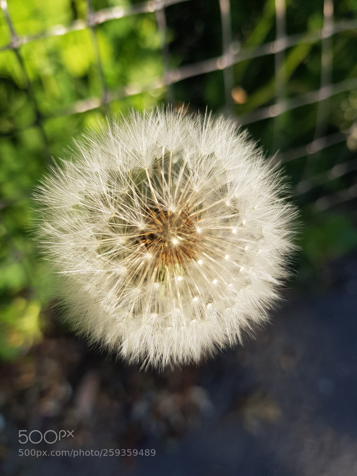Samsung Galaxy S8 sample photo. Untitled photography