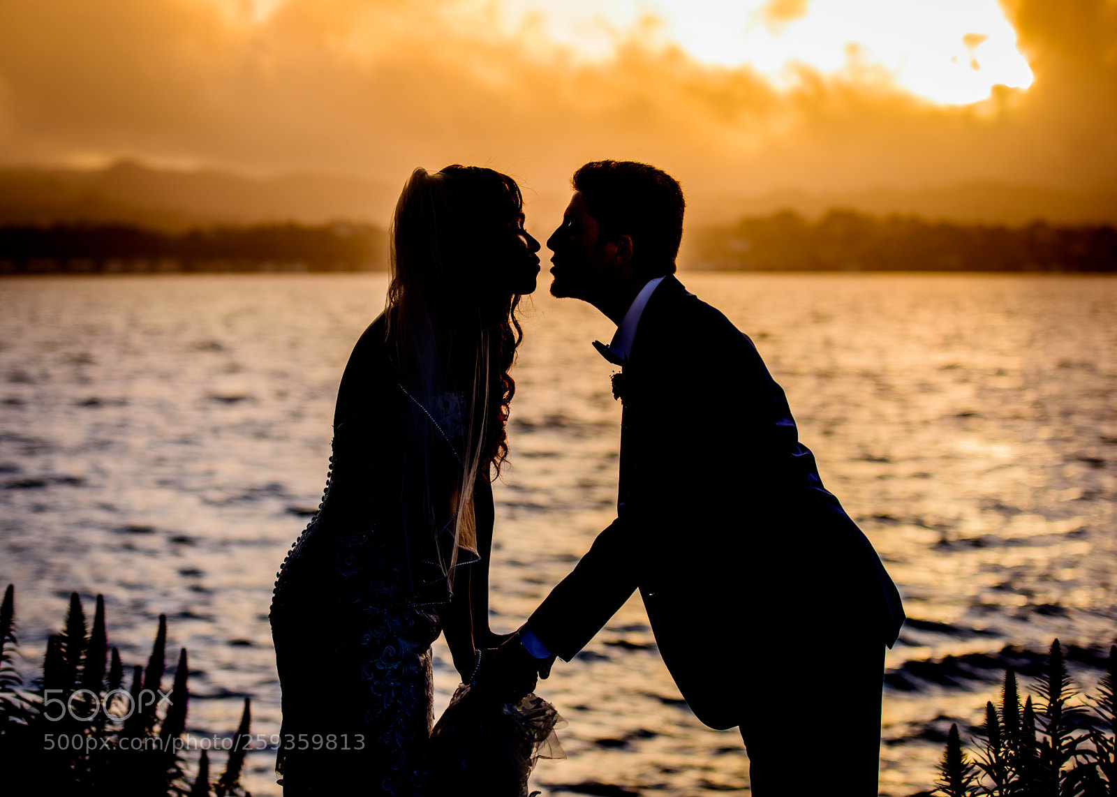 Nikon D810 sample photo. A kiss has magical photography