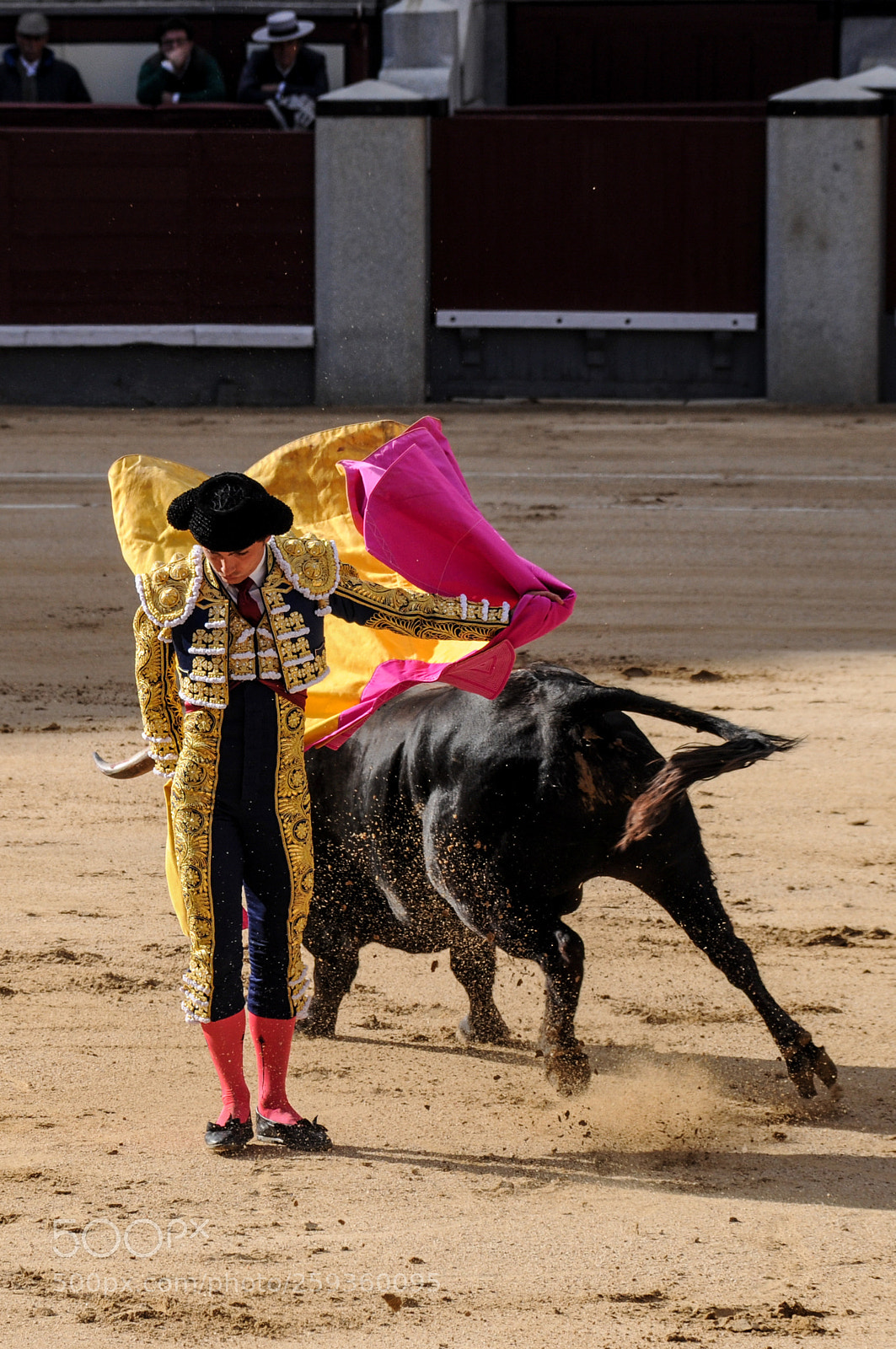 Nikon D90 sample photo. Bullfighter photography