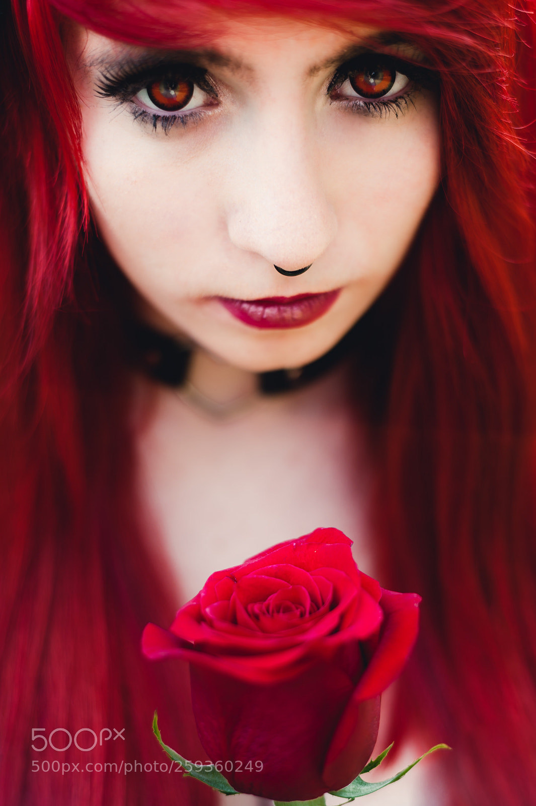 Nikon D700 sample photo. Livia photography