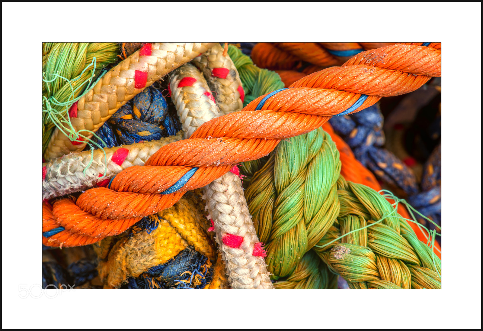 Nikon D750 sample photo. Colorful mess photography