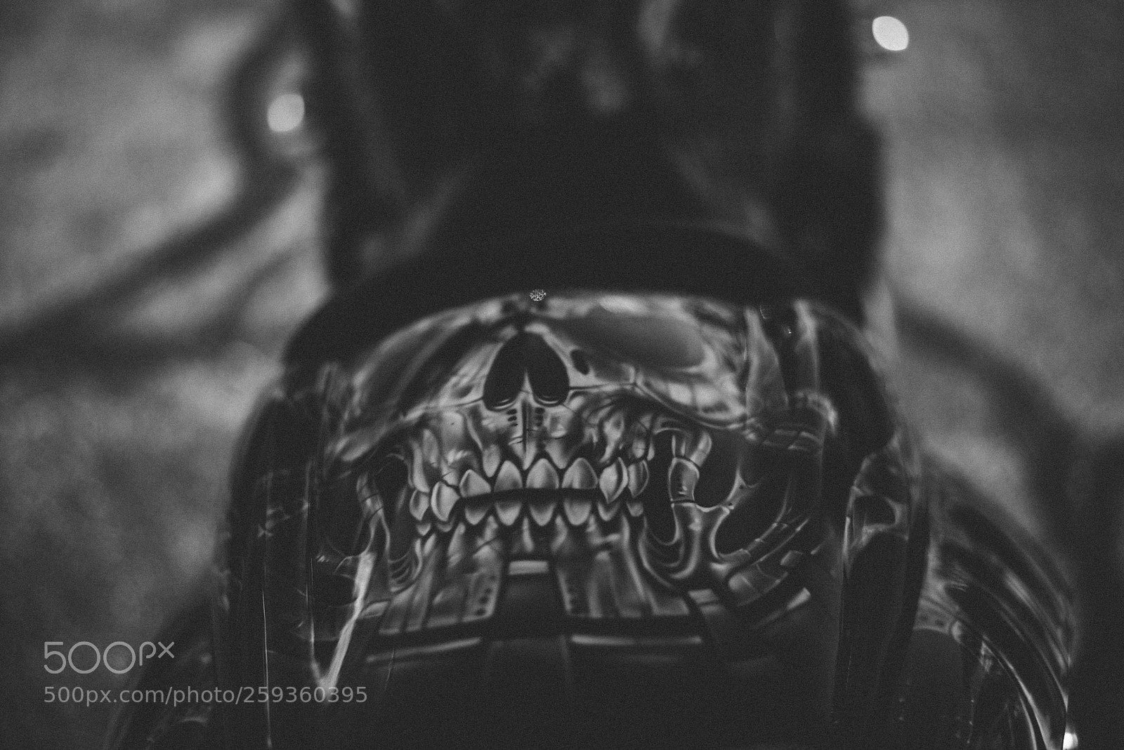 Nikon D810 sample photo. Skull gang photography