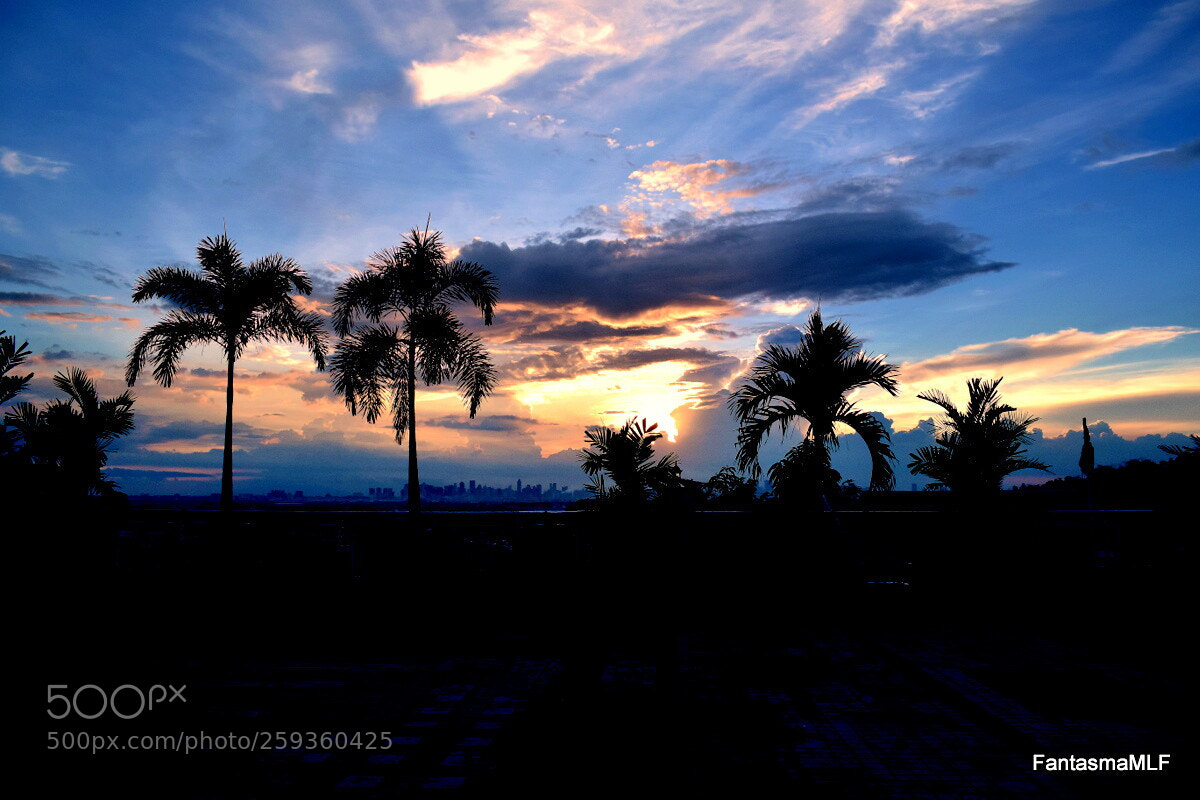 Nikon D5500 sample photo. Sunset this may photography
