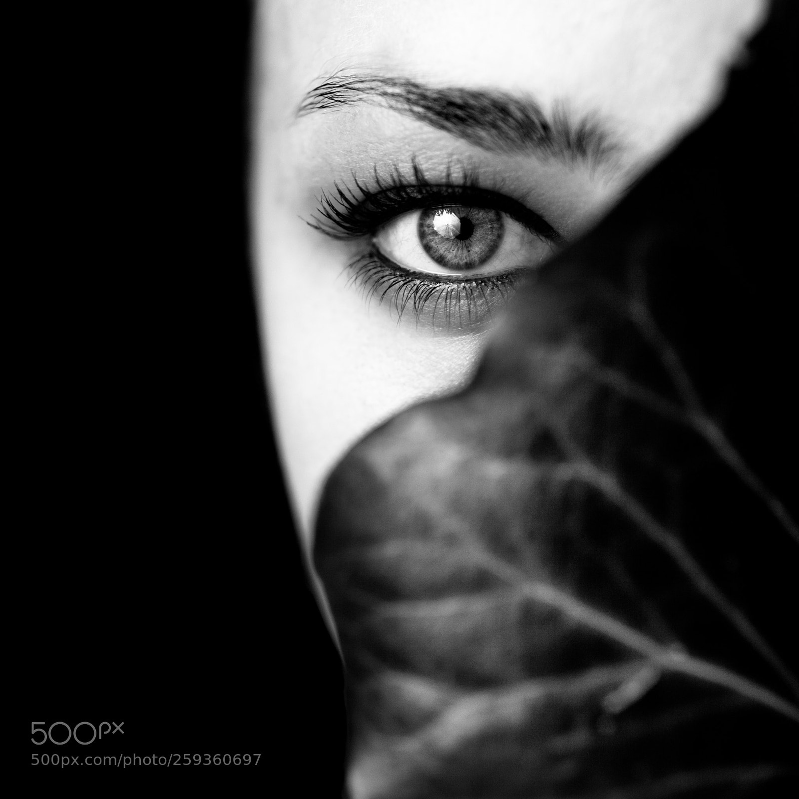 Canon EOS 5D Mark II sample photo. Le masque photography