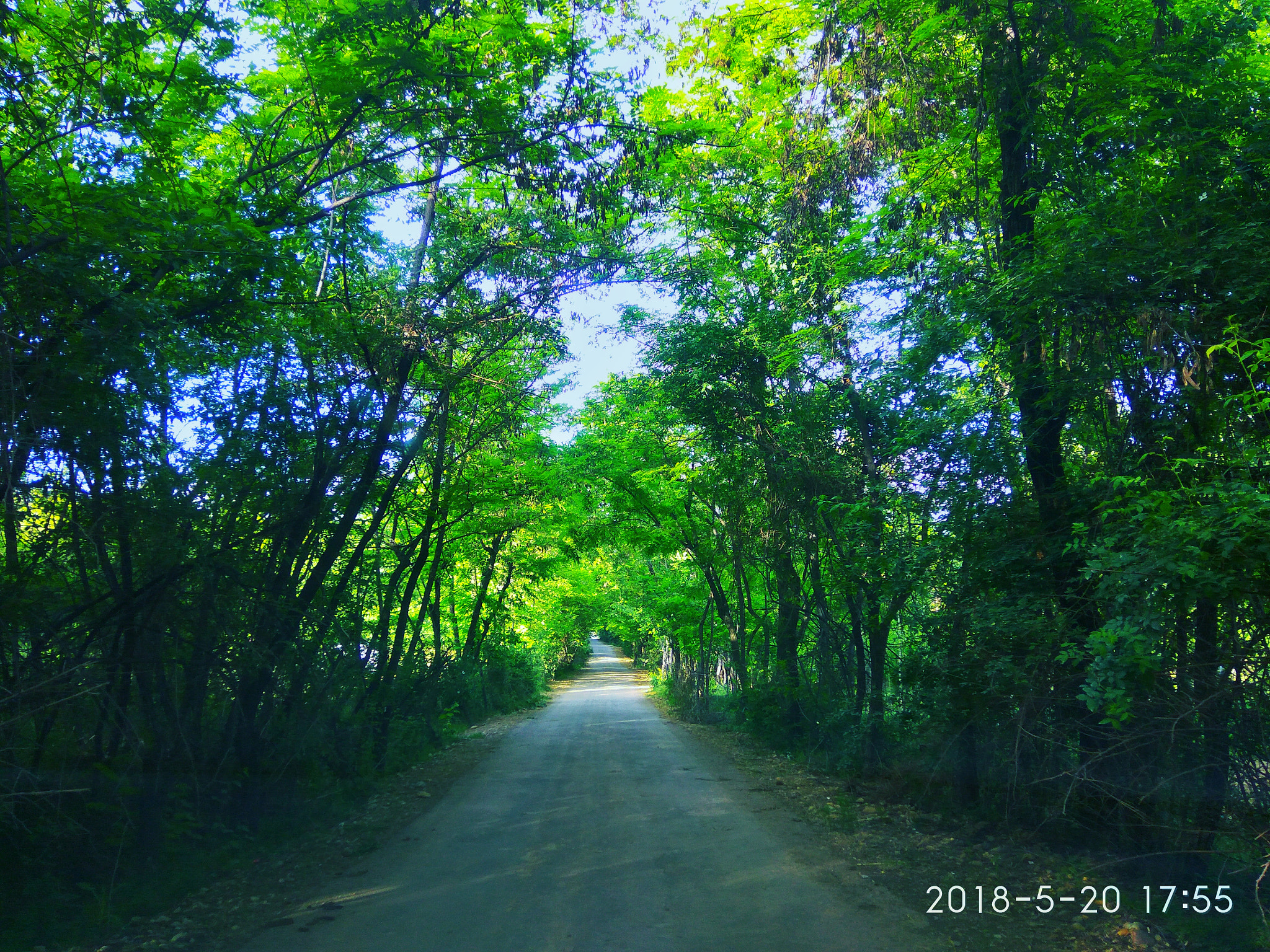 Xiaomi Redmi Note3 sample photo