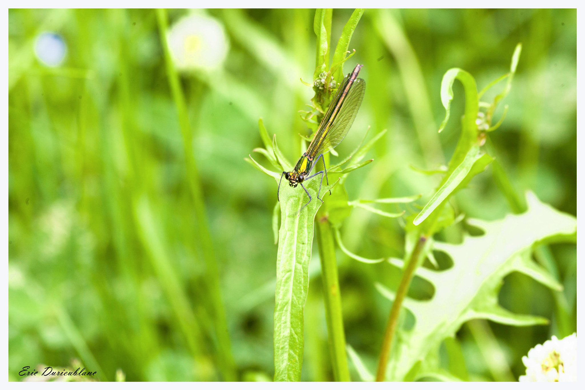 Canon EOS-1D Mark II sample photo