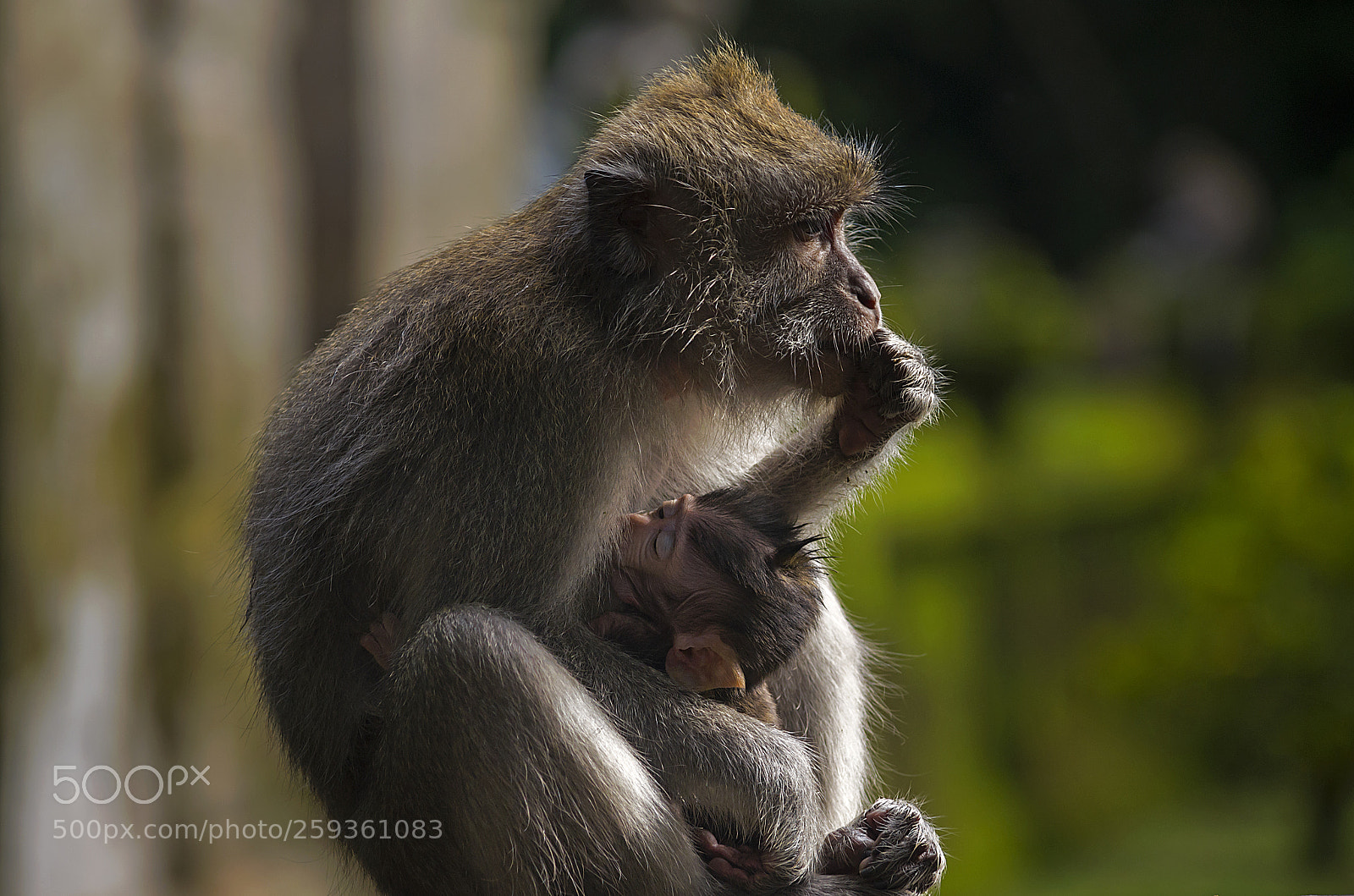 Nikon D5100 sample photo. A peaceful sleep photography
