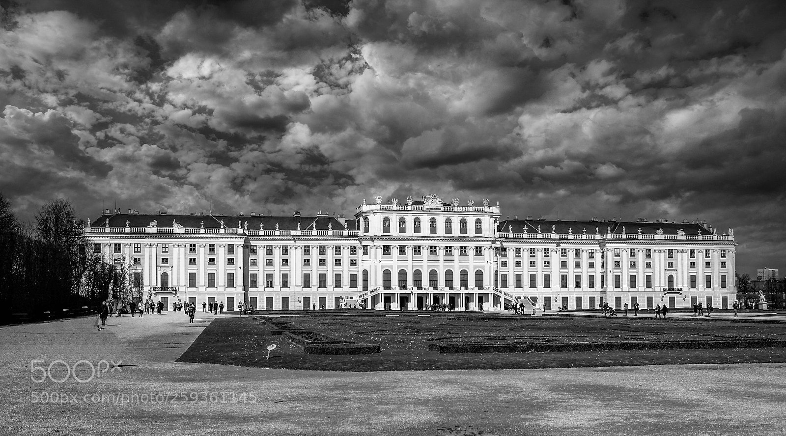 Canon EOS 550D (EOS Rebel T2i / EOS Kiss X4) sample photo. Belvedere palace b&w photography