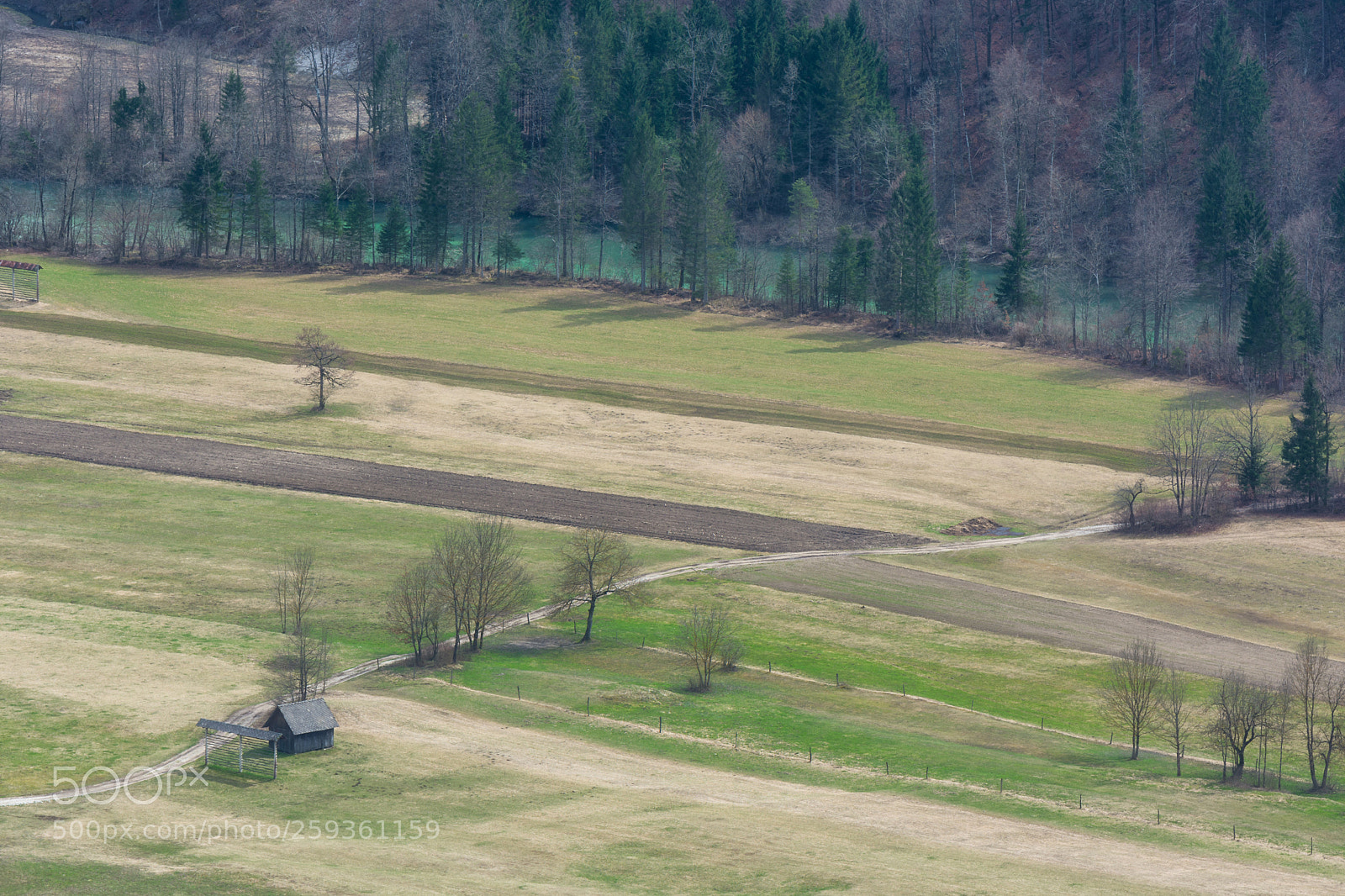 Nikon D7100 sample photo. Fields lines photography