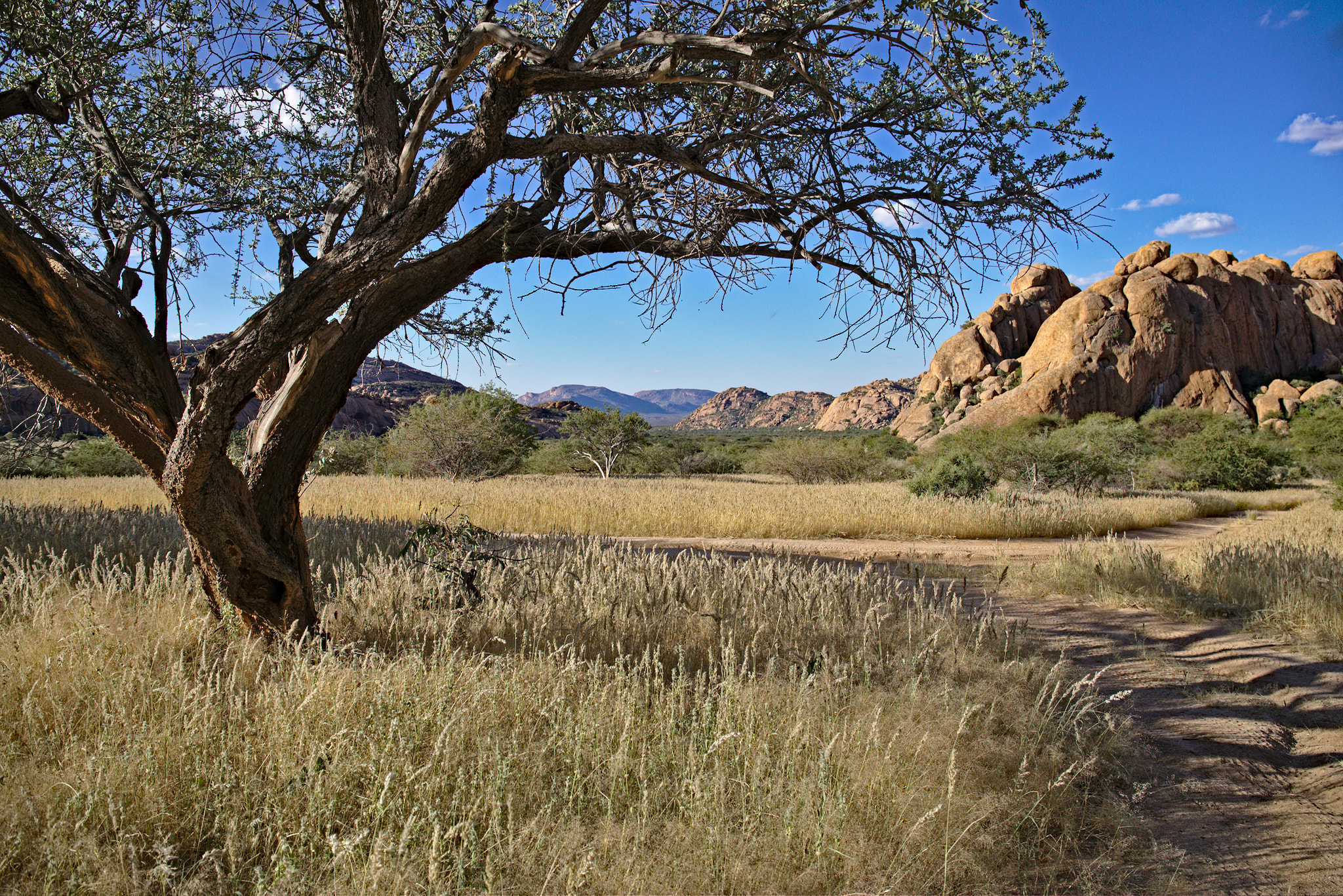 Canon EOS 5D Mark IV + Canon EF 24-70mm F4L IS USM sample photo. Namiba landscape (namibia) photography