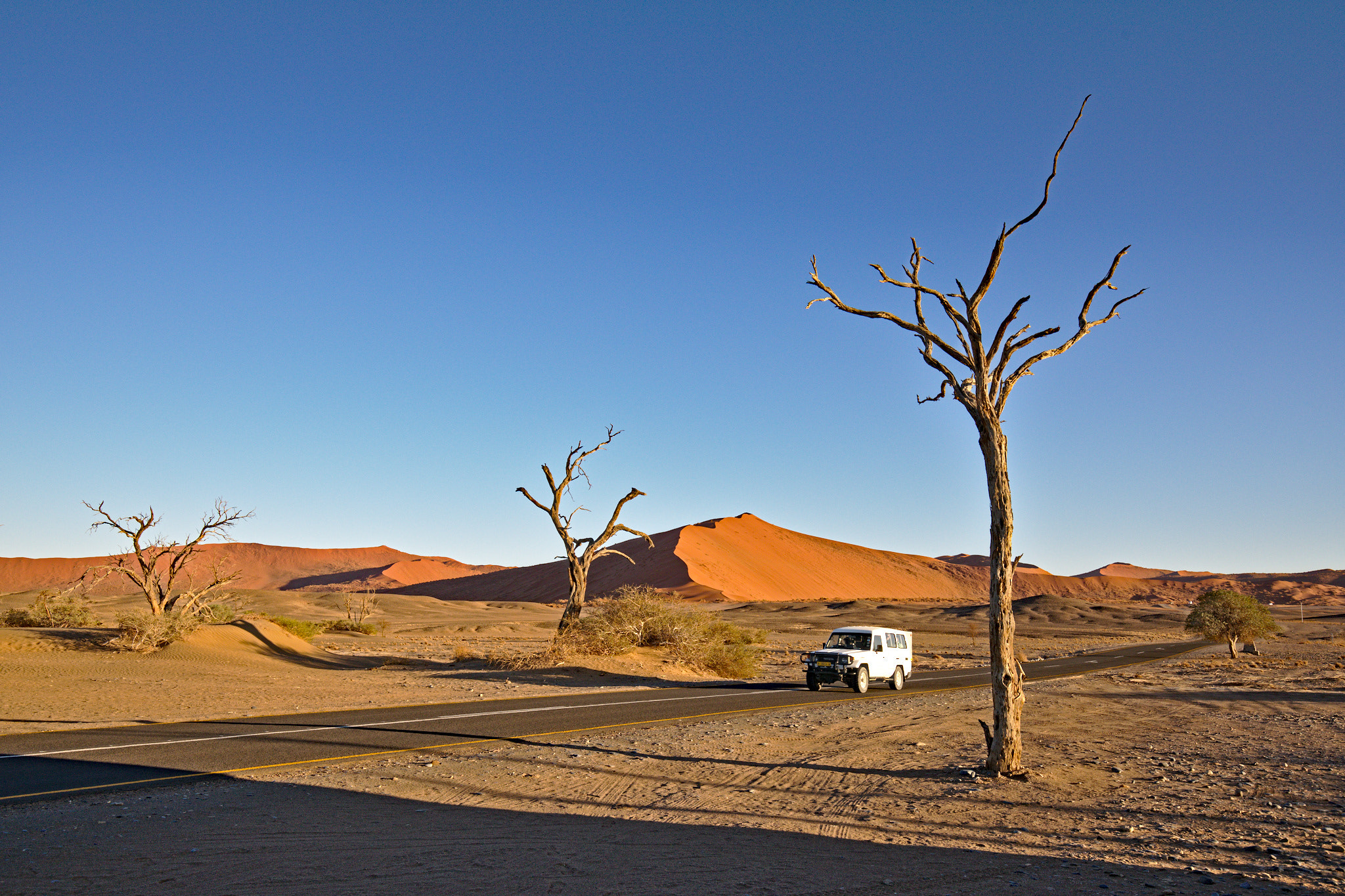Canon EF 16-35mm F4L IS USM sample photo. On the road to sossusvlei (namibia) photography