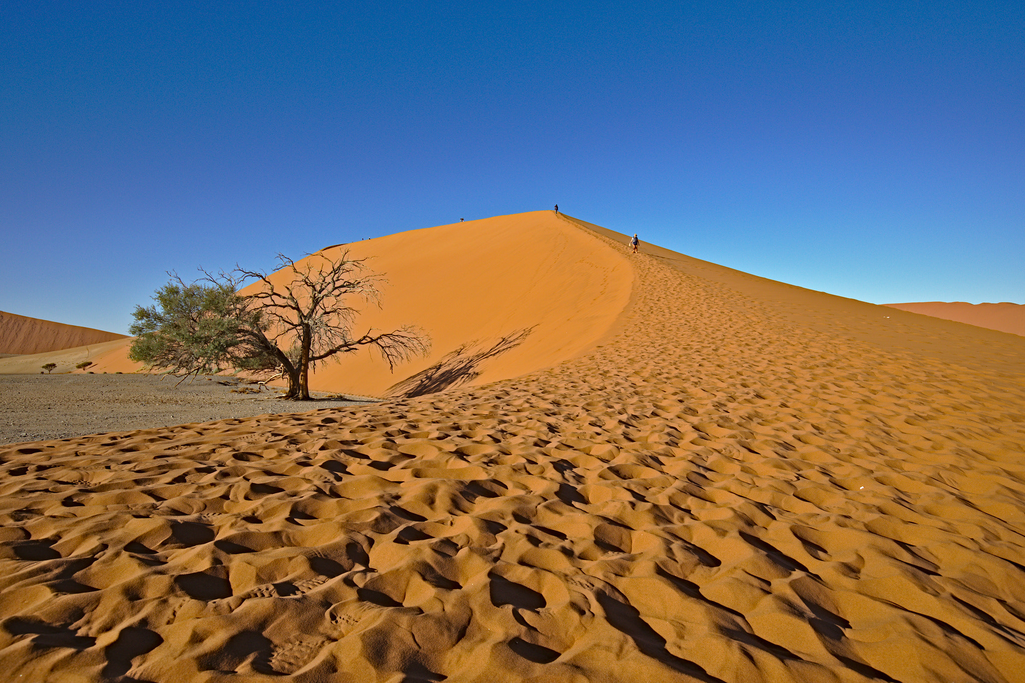 Canon EF 16-35mm F4L IS USM sample photo. Dune power (dune 45, namibia) photography