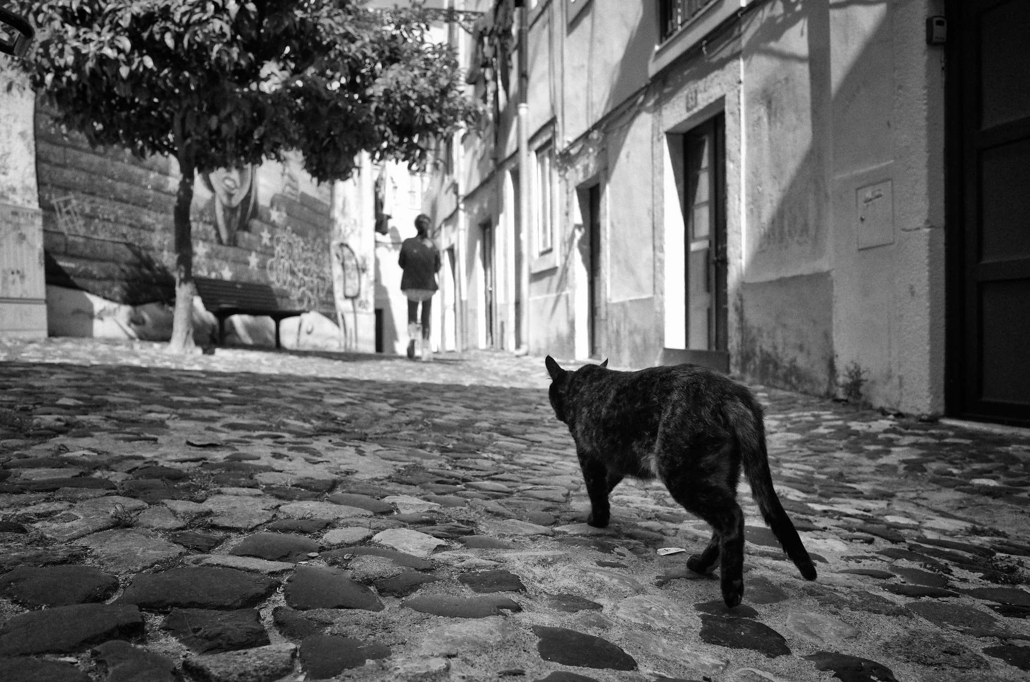 Ricoh GR sample photo. Get ready photography