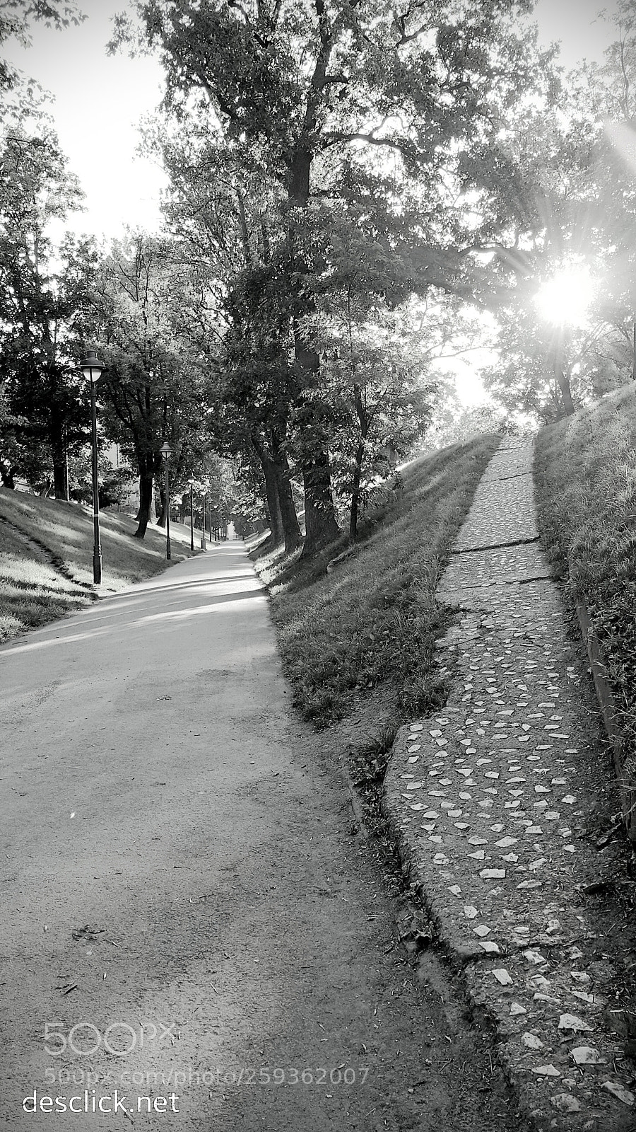 Samsung Galaxy Note4 sample photo. Paths of life ... photography
