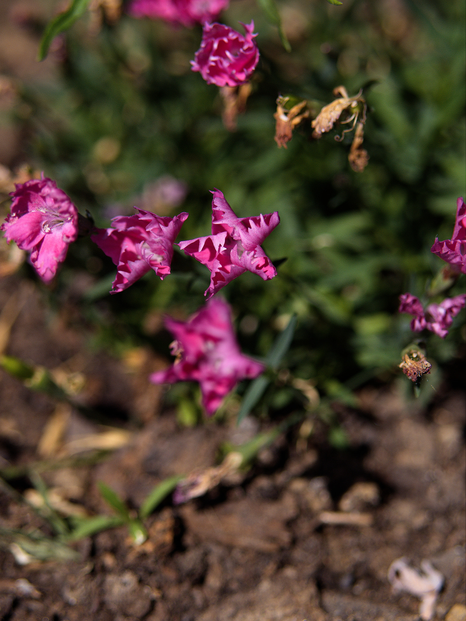 Panasonic Lumix DC-GX9 sample photo. *** photography
