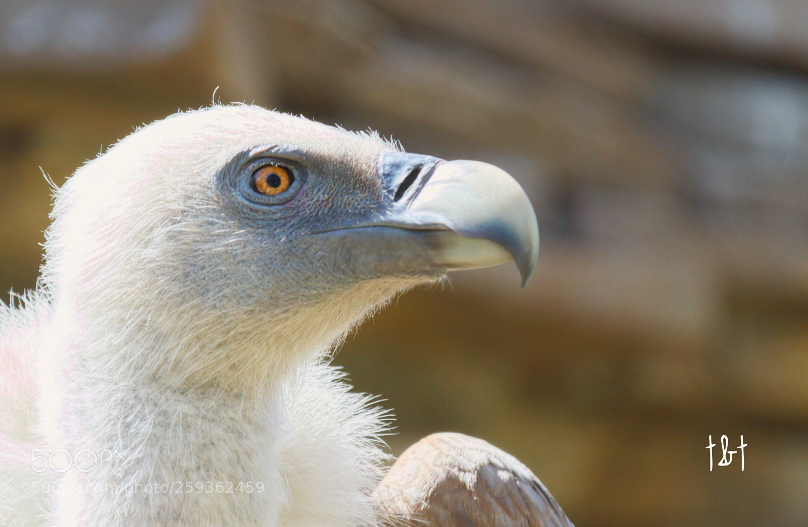 Canon EOS 7D sample photo. Untitled photography