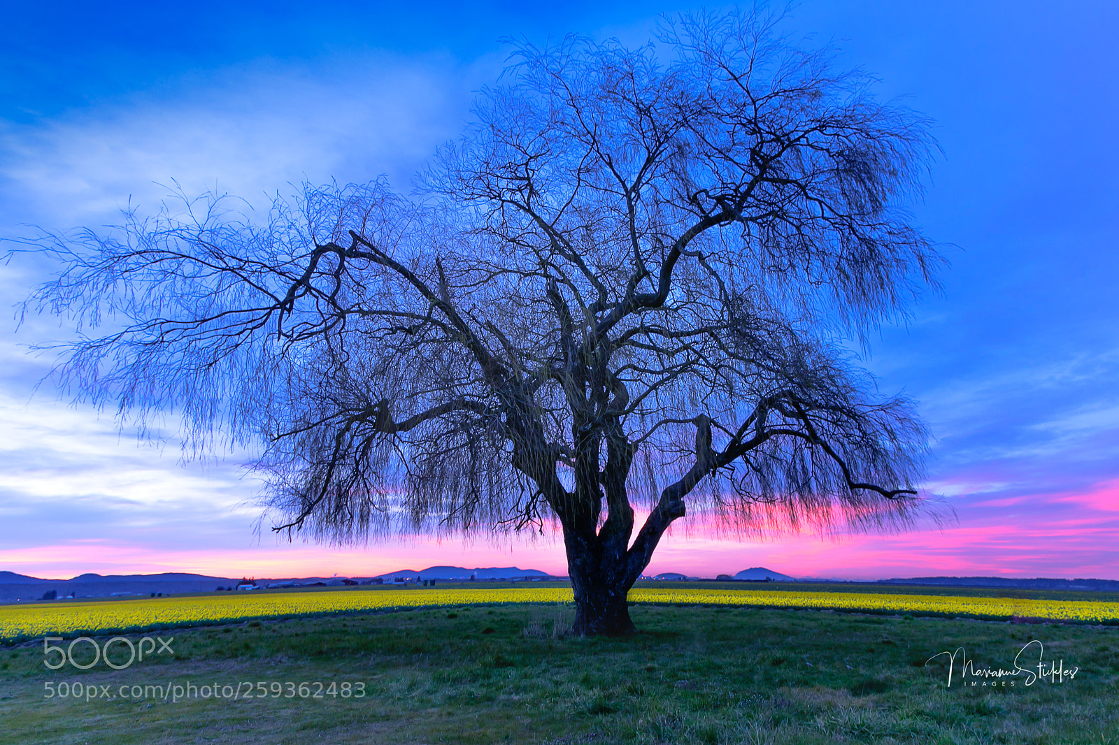 Canon EOS 5D Mark IV sample photo. A wonderful sunset over photography
