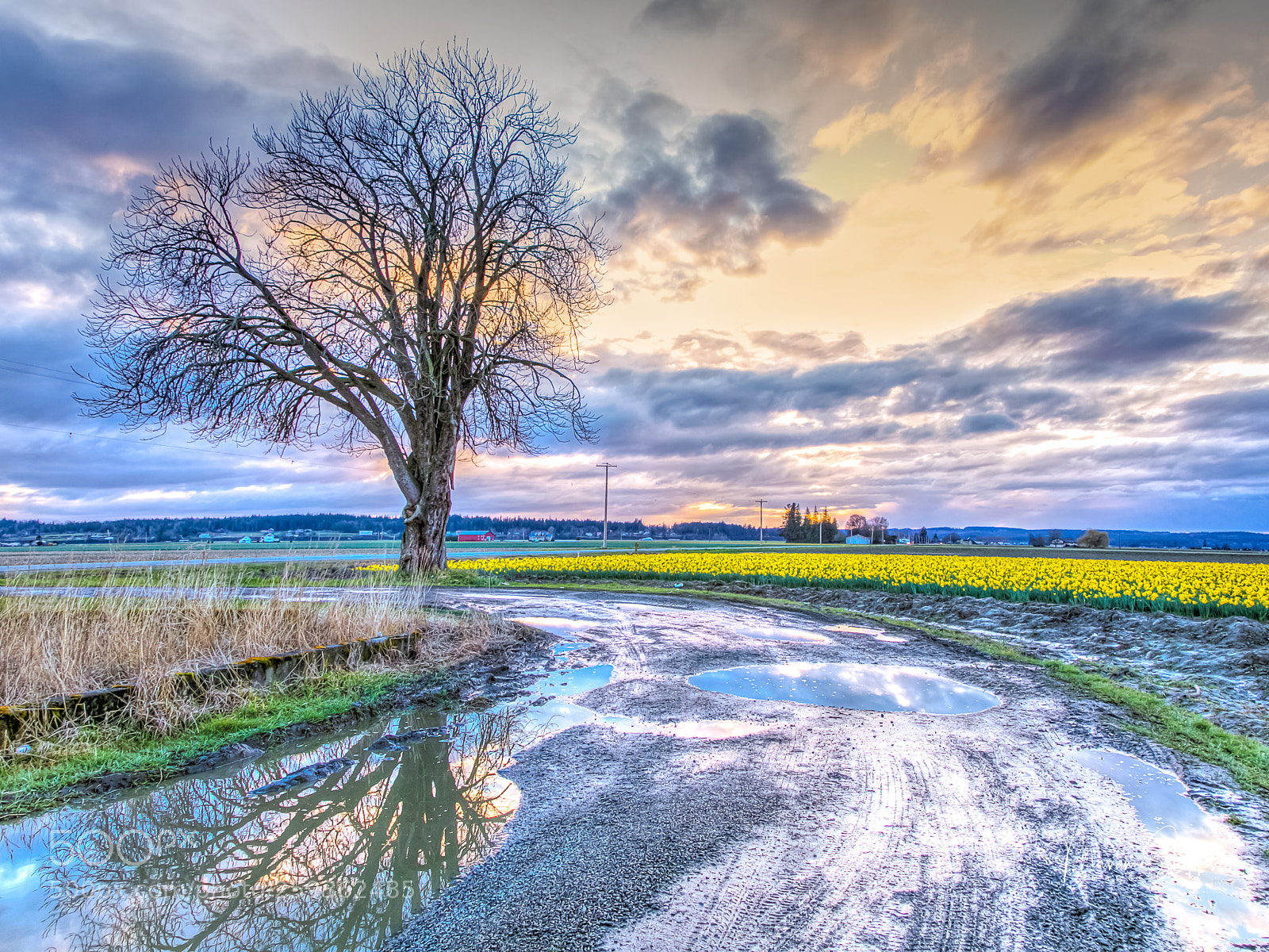 Canon EOS 5D Mark IV sample photo. What's a little rain...! photography