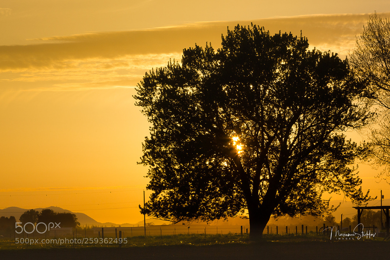 Canon EOS 550D (EOS Rebel T2i / EOS Kiss X4) sample photo. Golden hour on the photography
