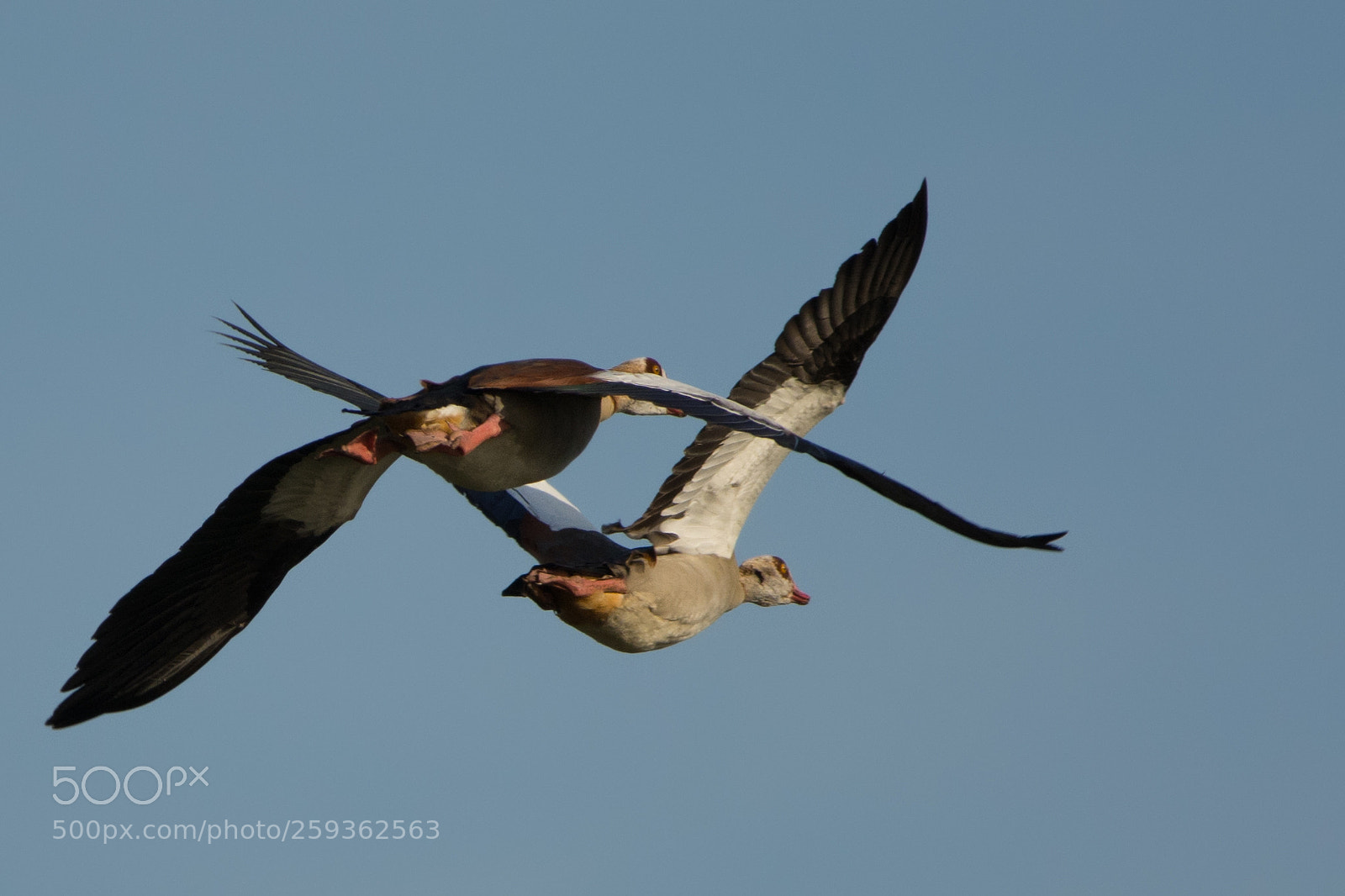 Nikon D7100 sample photo. Proximity warning photography
