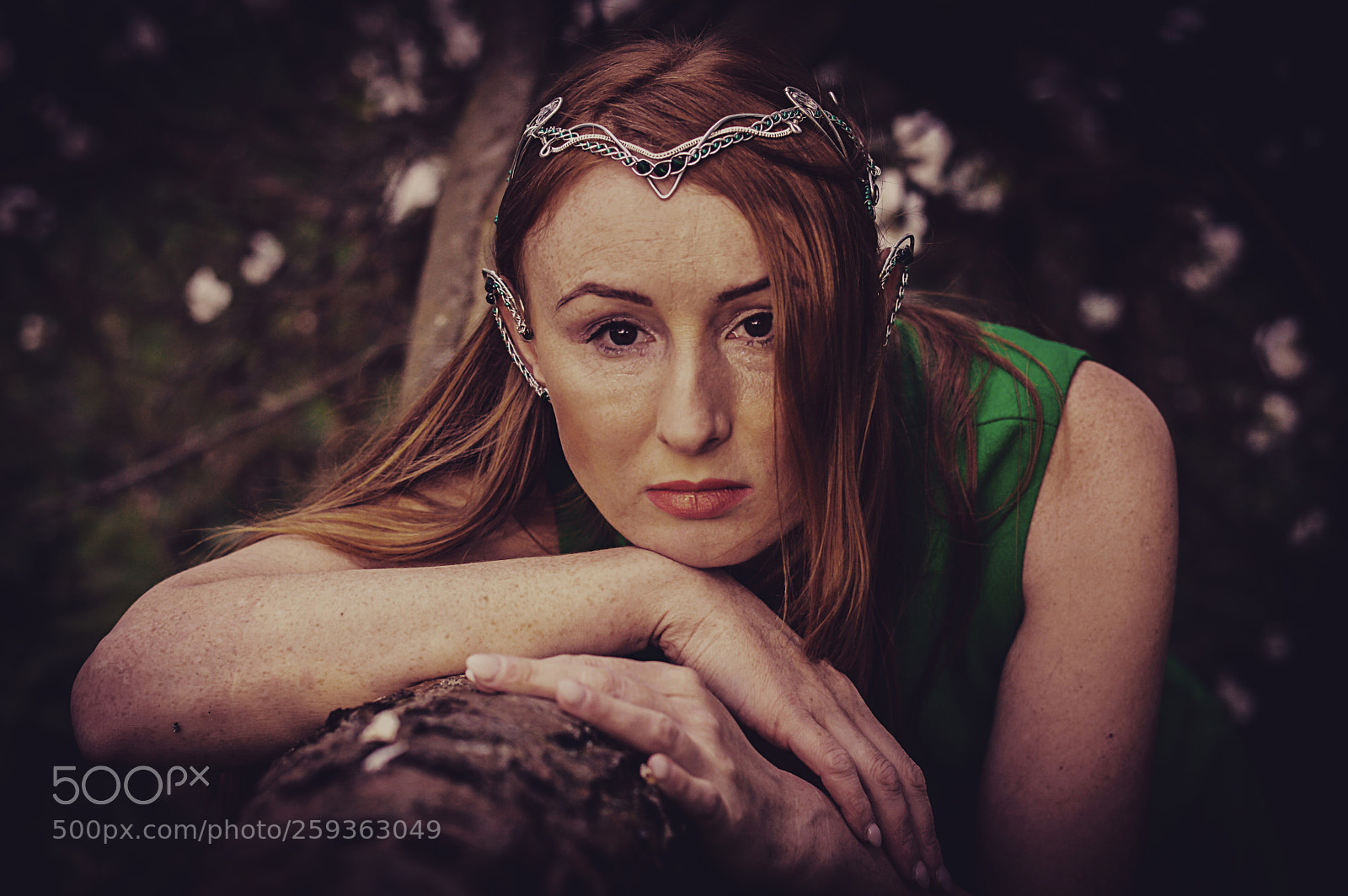 Nikon D3200 sample photo. Deep in the forest photography