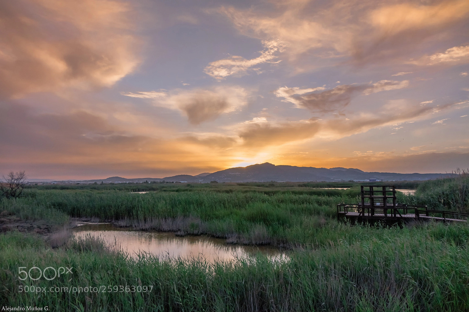 Sony Cyber-shot DSC-RX10 sample photo. Atardecer en la marjal photography