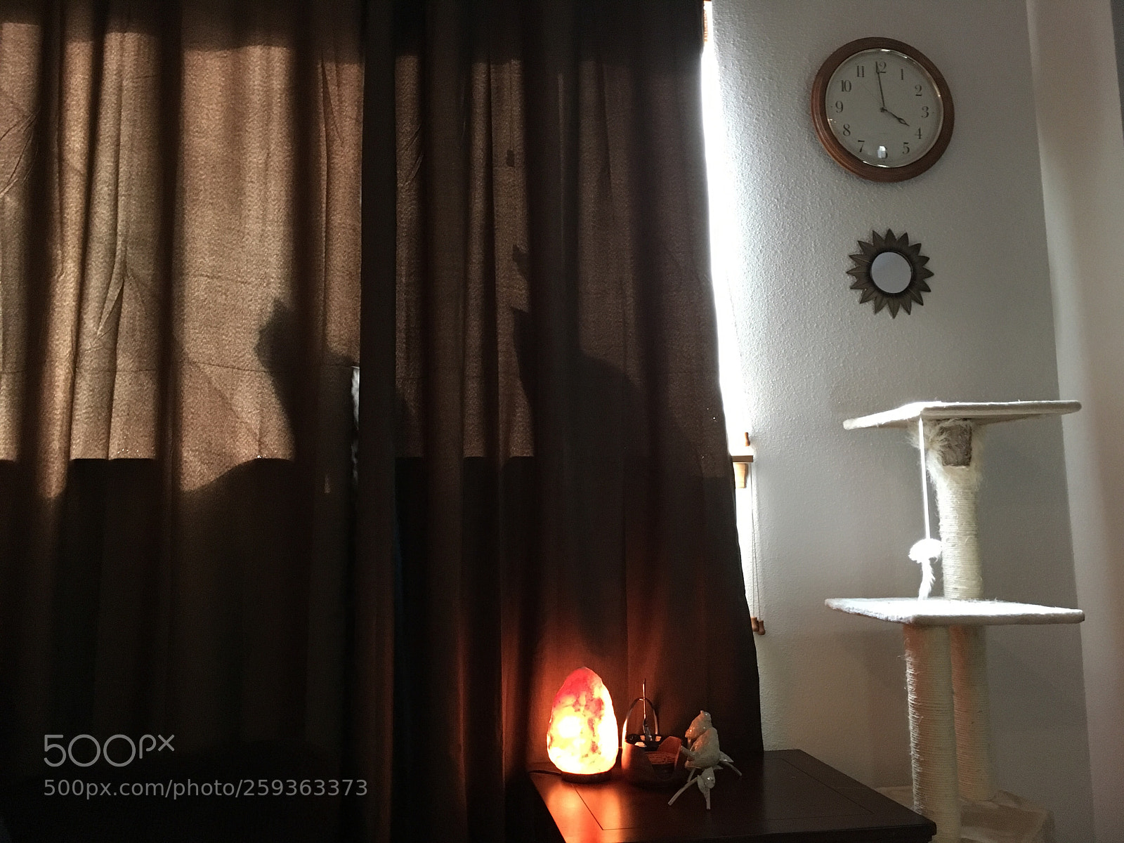 Apple iPhone 6s sample photo. Untitled photography