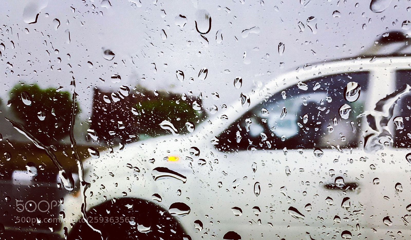 Apple iPhone SE sample photo. Rain photography