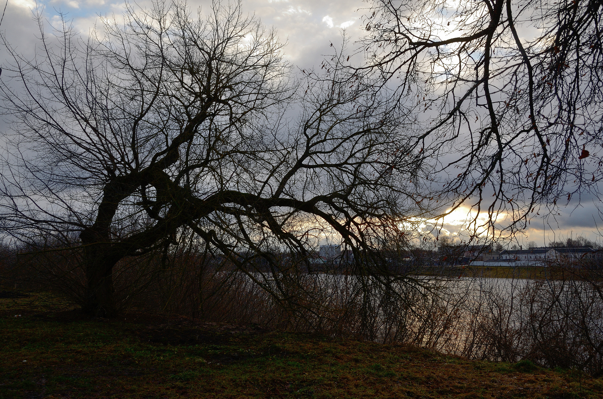 Nikon D7000 sample photo. Cloudy morning photography
