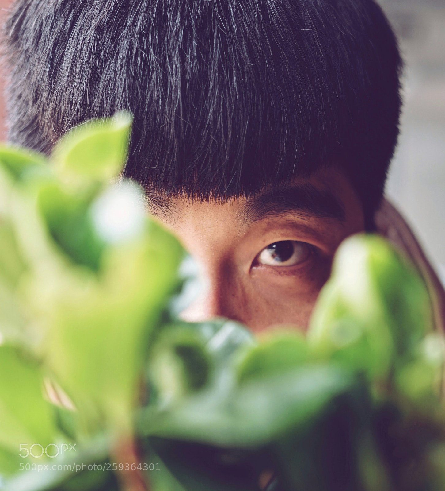 Sony a7 II sample photo. Processed with vsco with photography